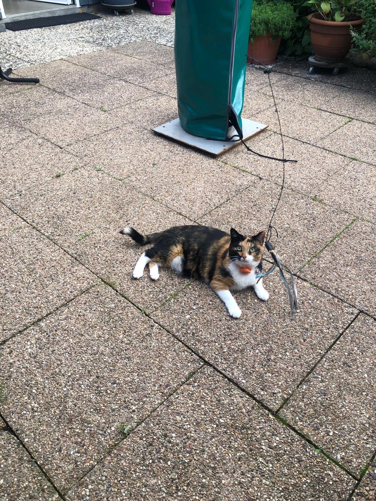 Nala - Hörstener Straße, Hamburg