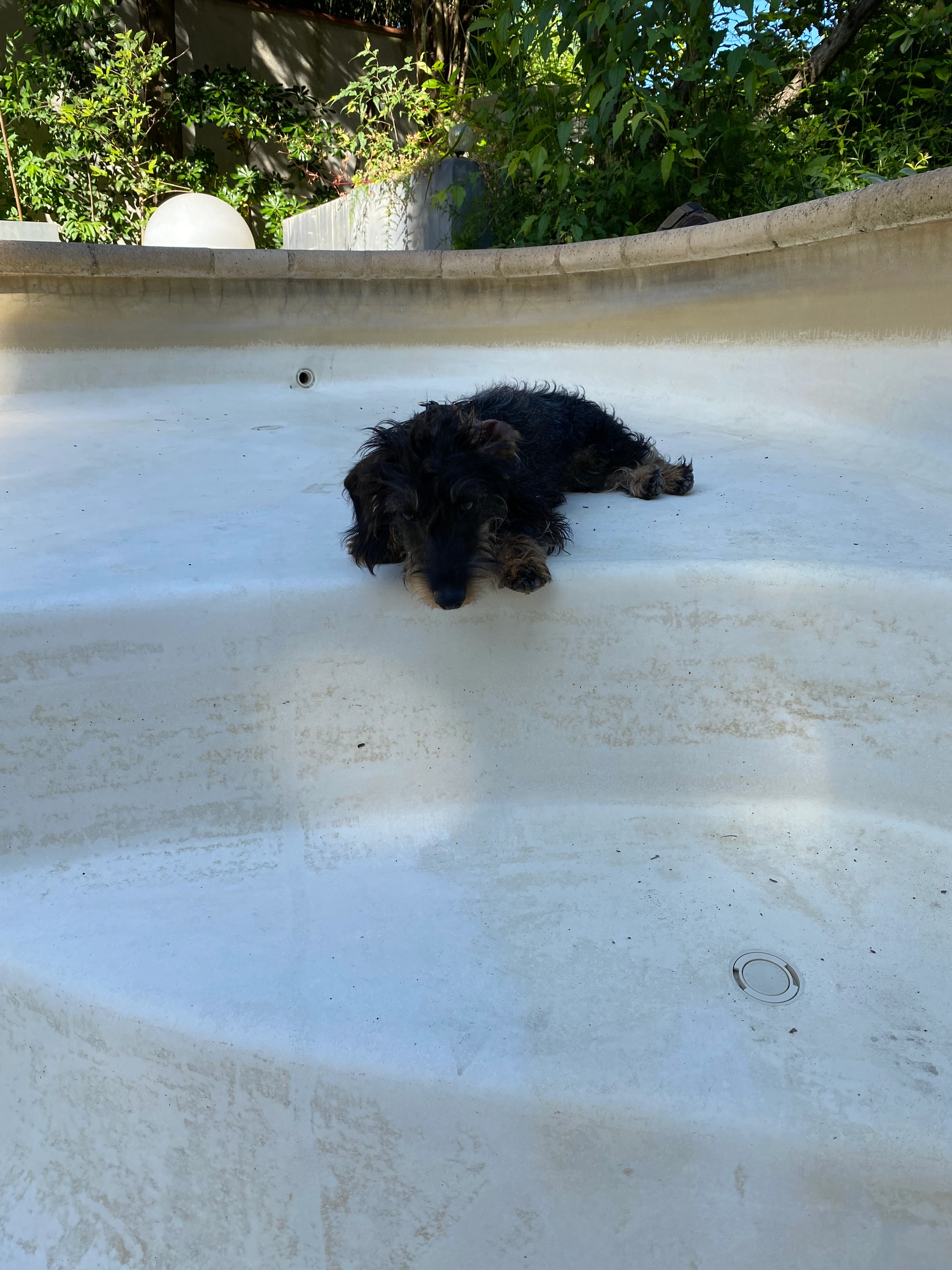 Vanille - 417 Rue des Quatre Vents, Montpellier