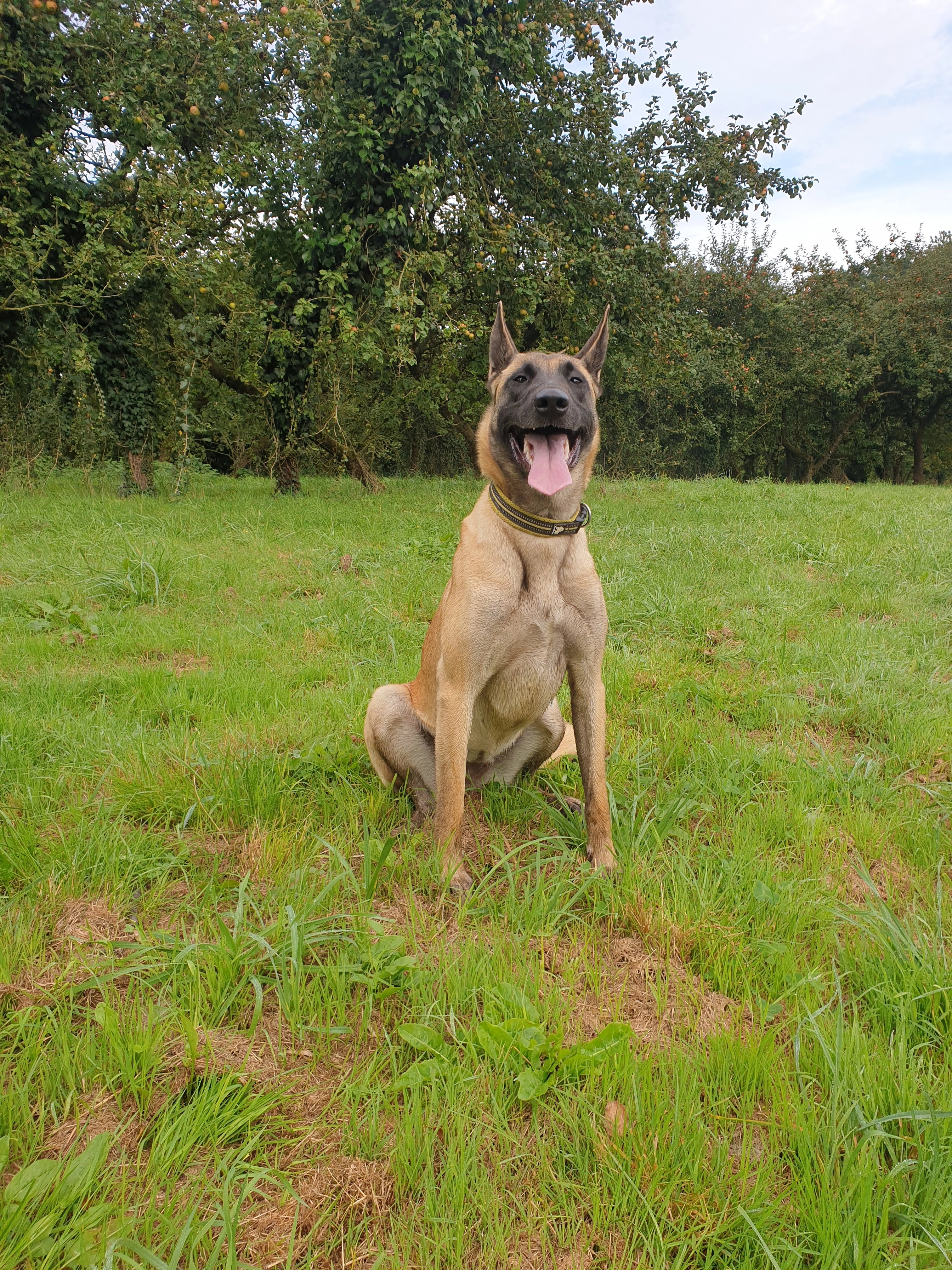 Phibie - 10 Kerbernard, Colpo