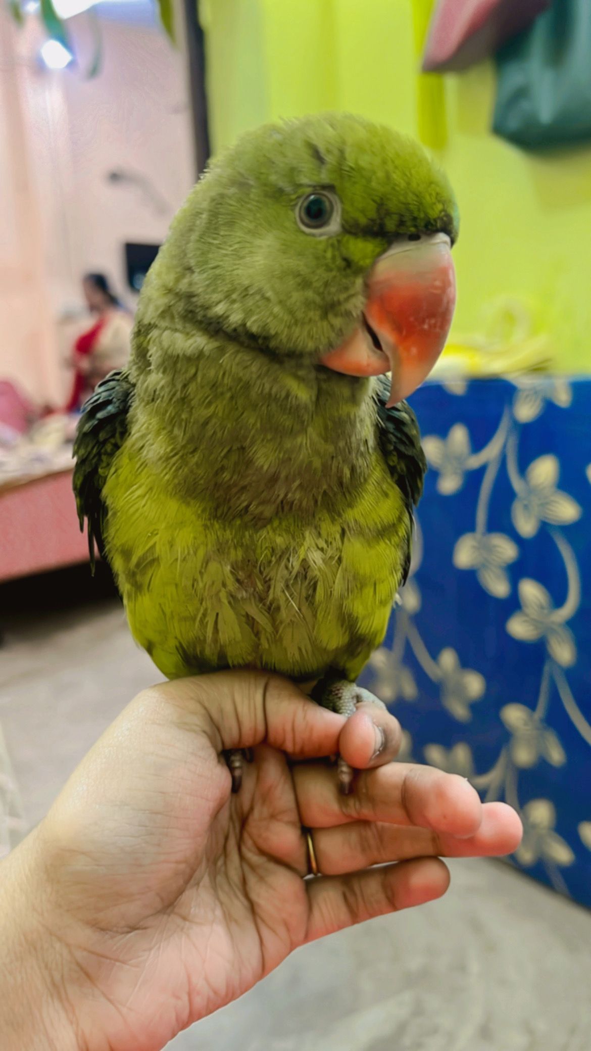 Mitthu - Nh218, Jharia