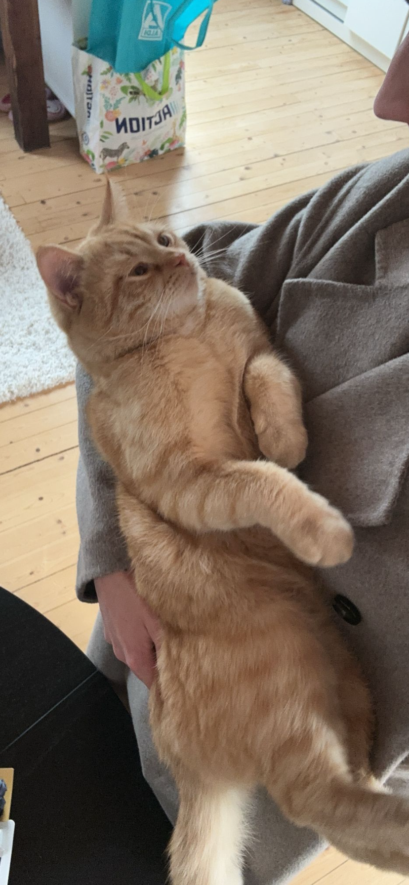 taco - Burggrafenstraße, Bocholt