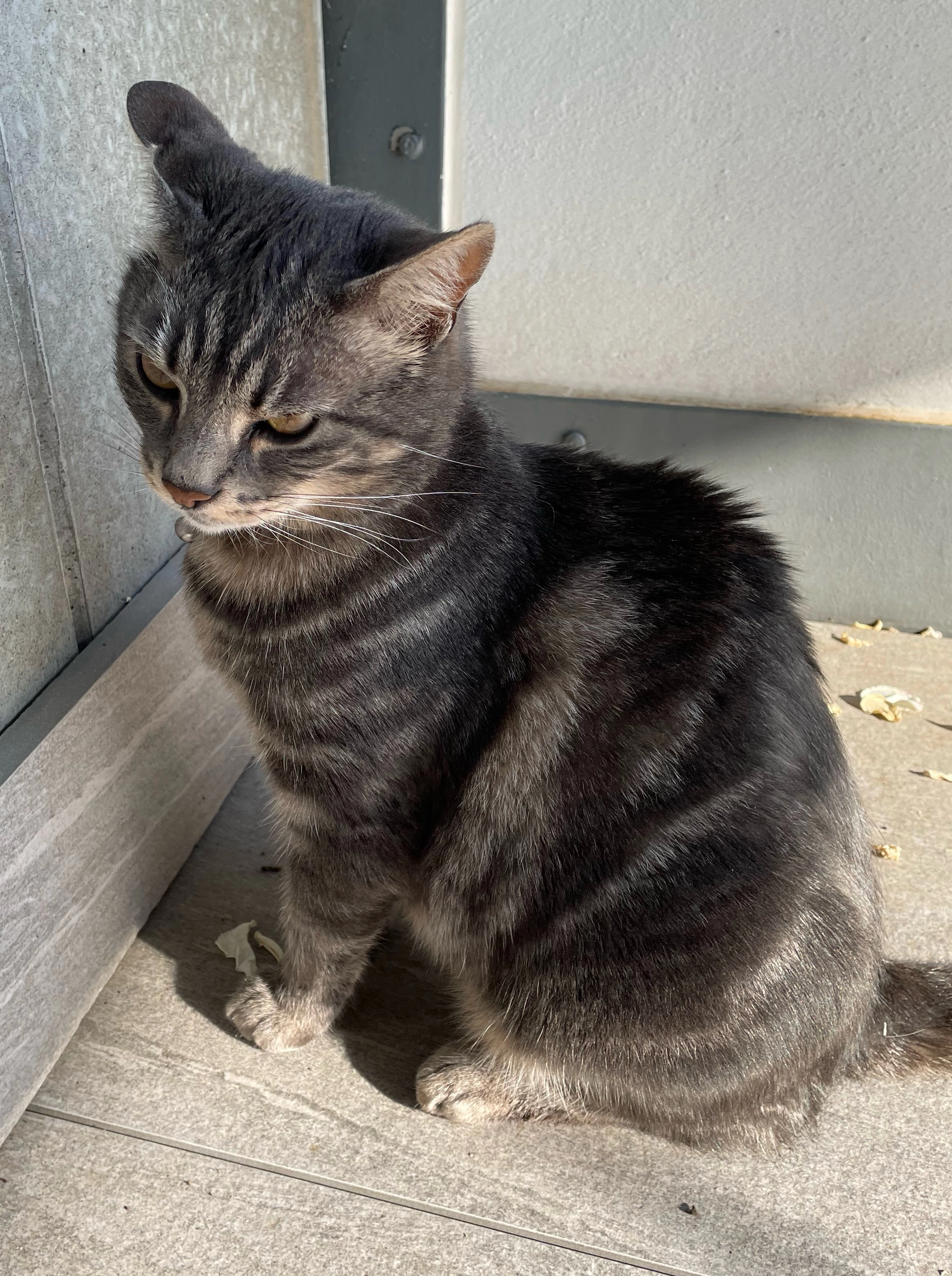 Caillou - Route de Buchillon 6F, Saint-Prex