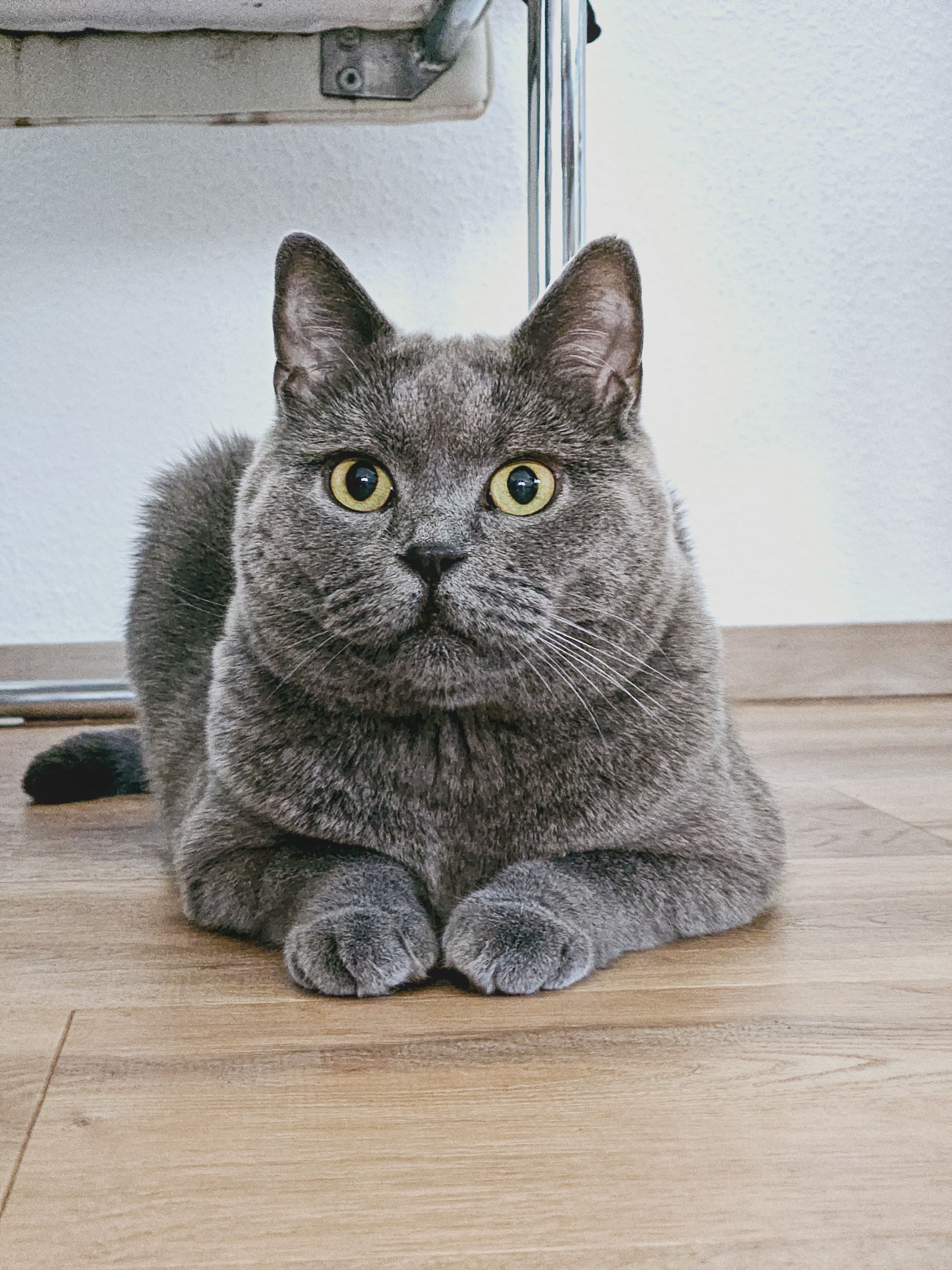 Mia - Seidenbronnenstraße, Pfalzgrafenweiler