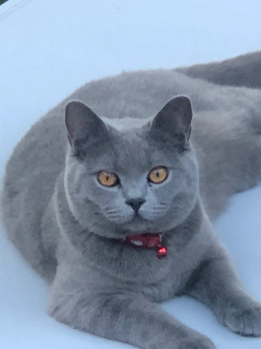 Spice - Brandon Way Crescent, Leeds