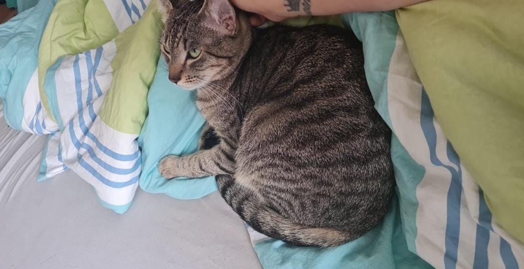 Taya - Wiesenstraße, Markt Erlbach