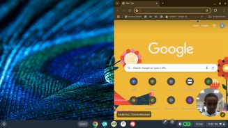 Henry - York Road, Bristol