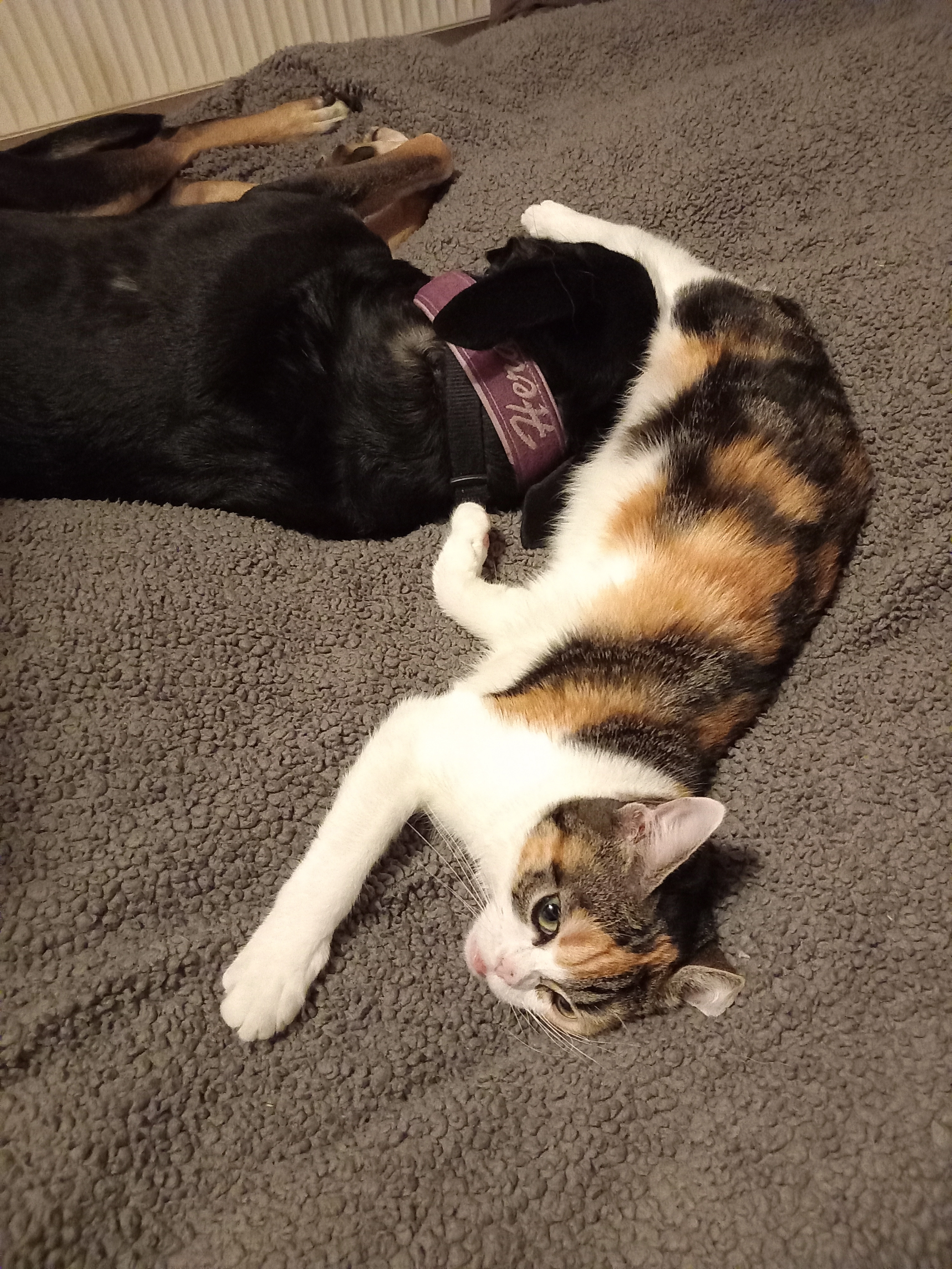 Katzi - Bahnhofstraße, Rauschenberg