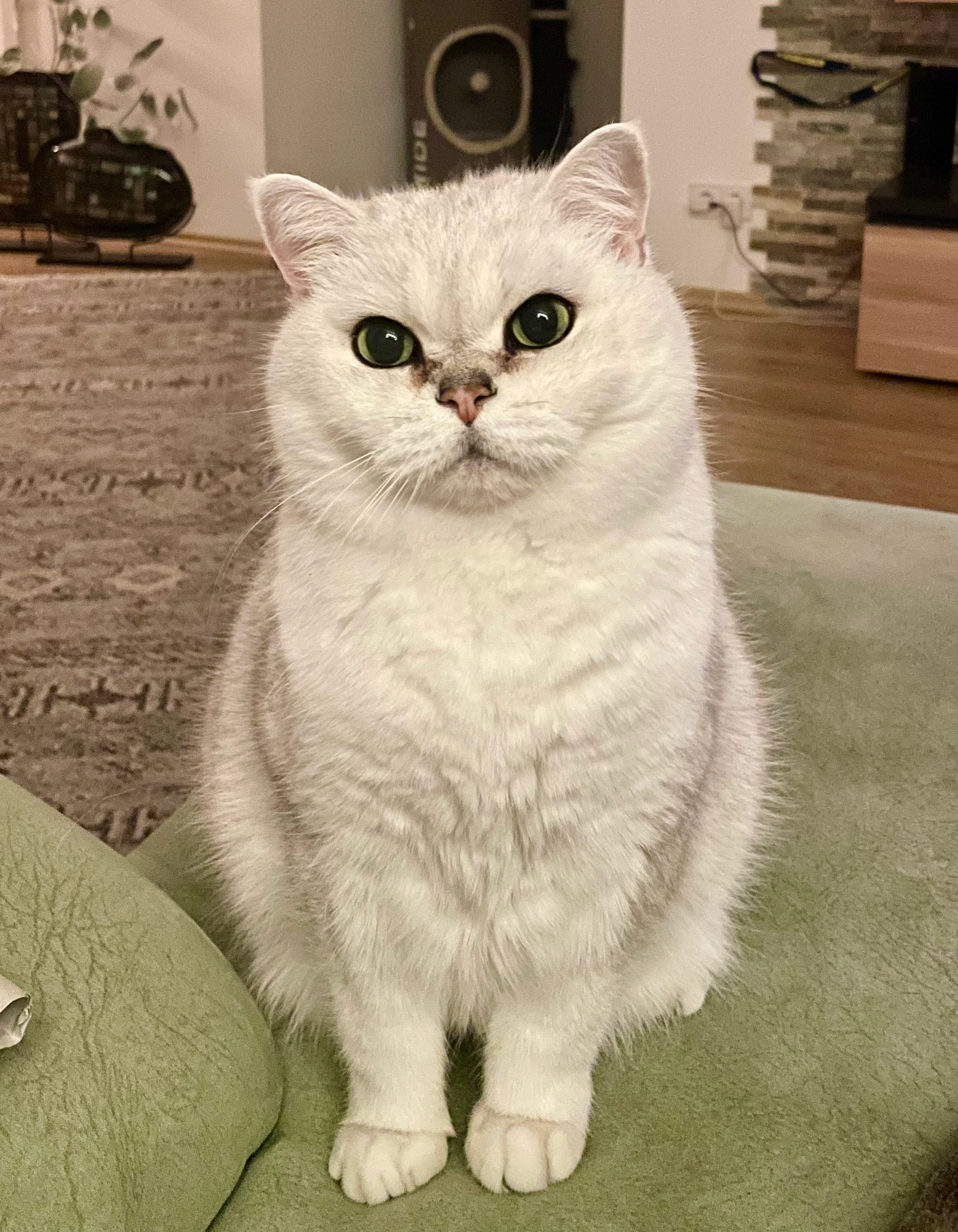 Snezhok - Bordighera Allee, Neckarsulm