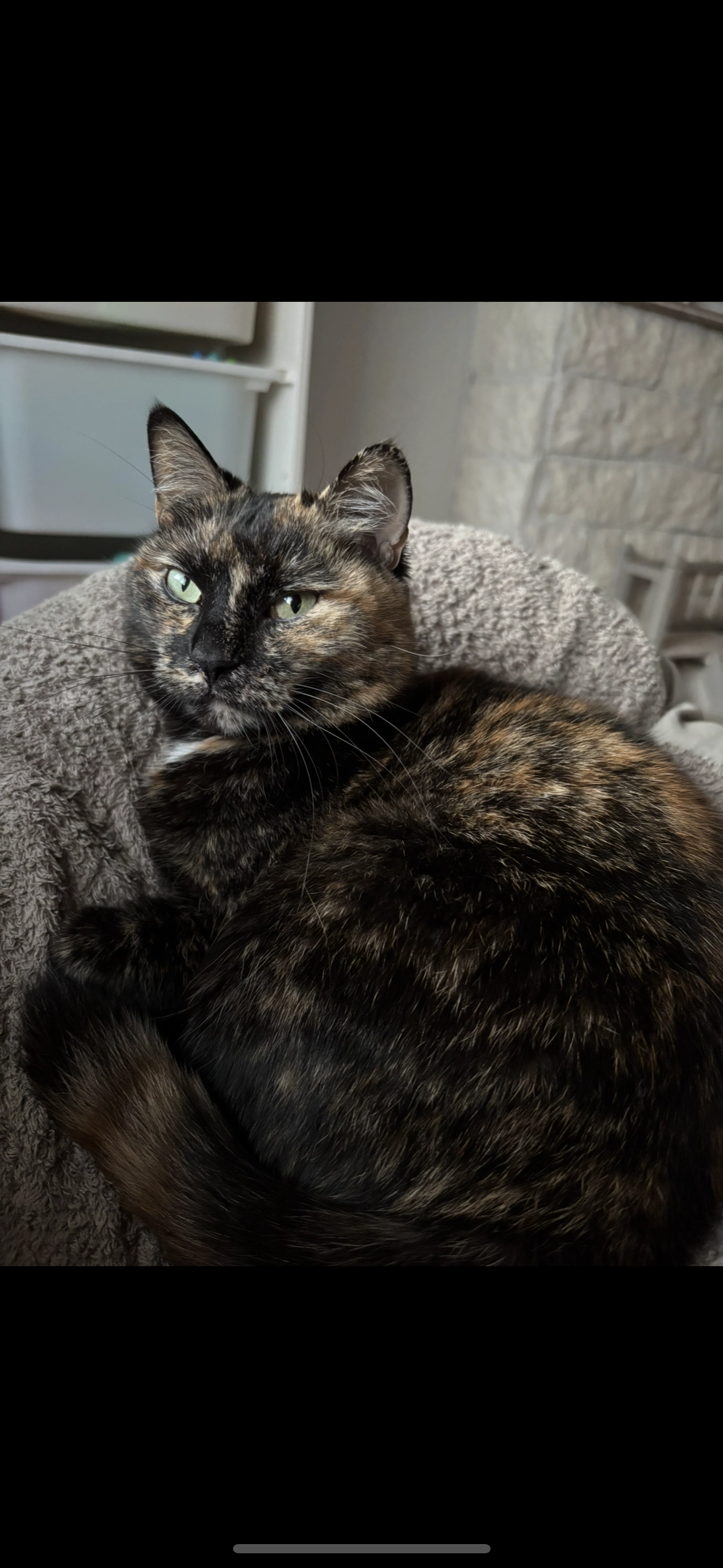 Lulu - Rue Louis Langlois, Bernissart