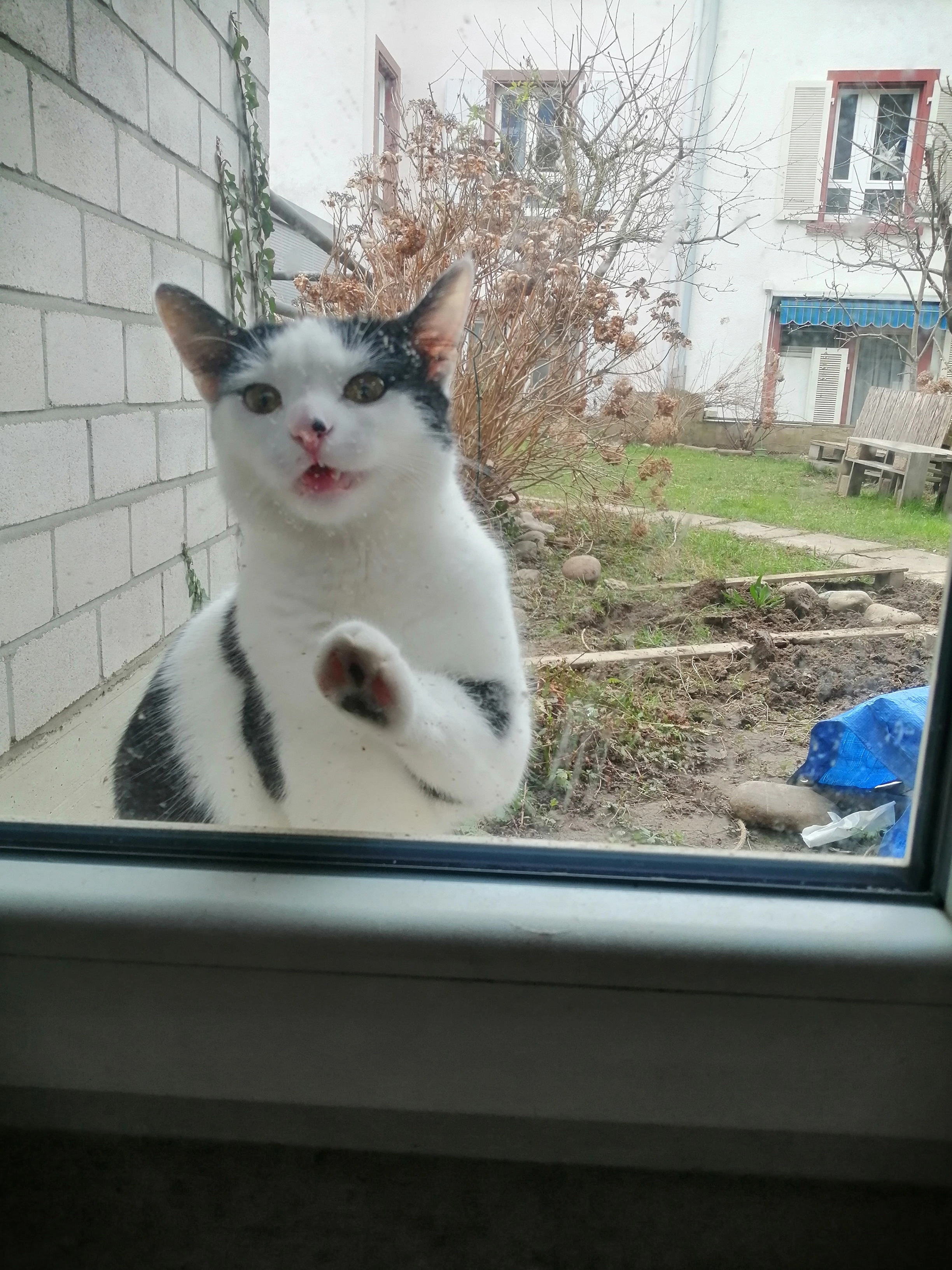 Gisma - Blasiusstraße, Freiburg im Breisgau