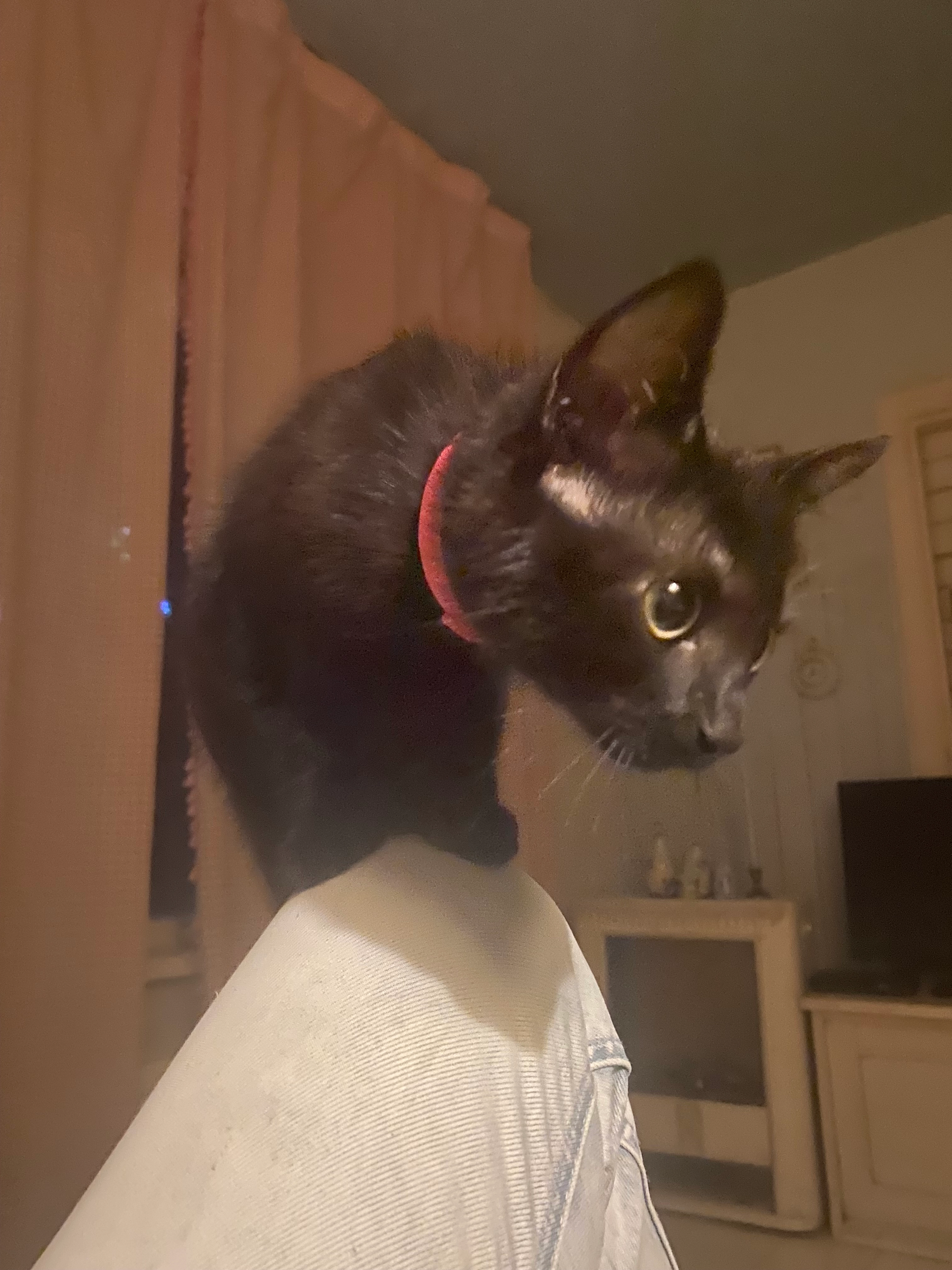 Maatje - Kievitstraat, Tegelen