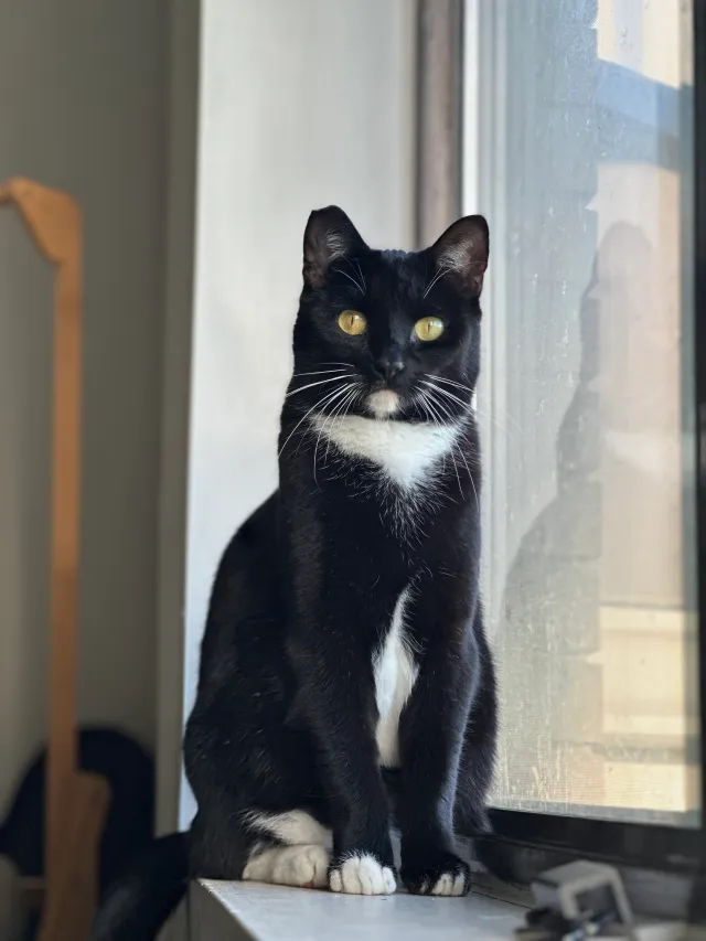 Stella - Country Way, Troy