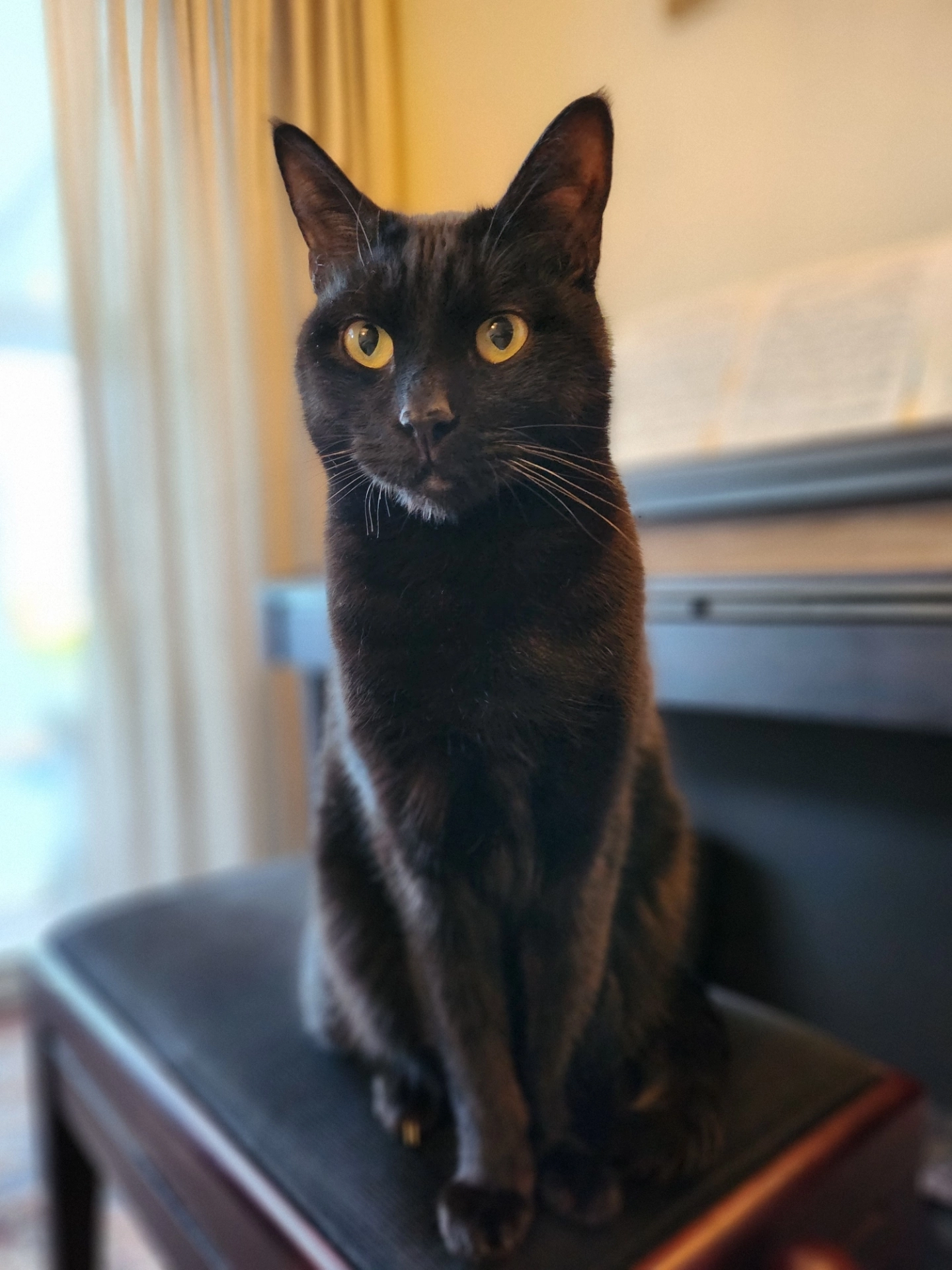 Magic - Seaview Way, Fleetwood