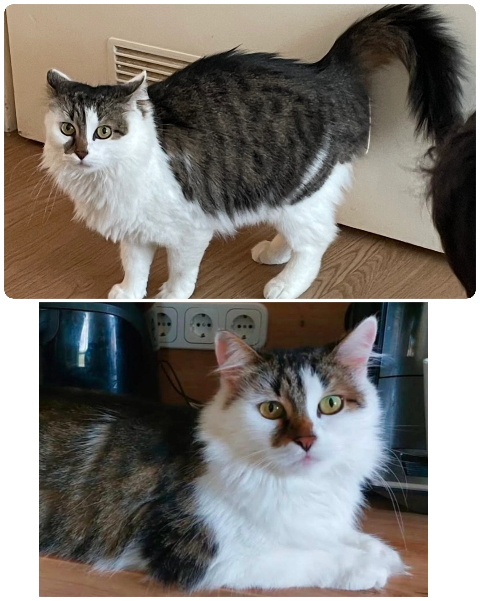 Finija  - Nibelungenstraße, Regensburg