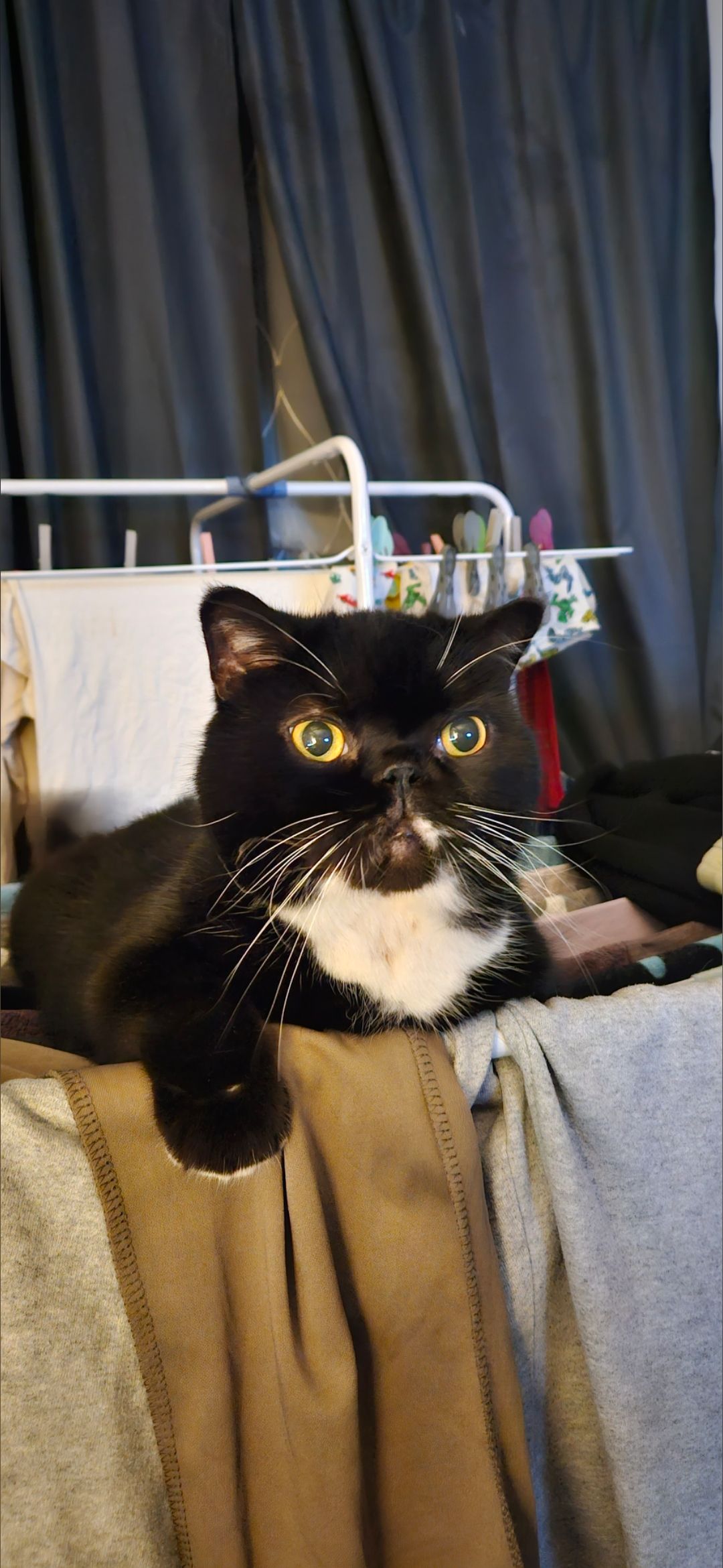 Louis - Lessingstraße, Emden