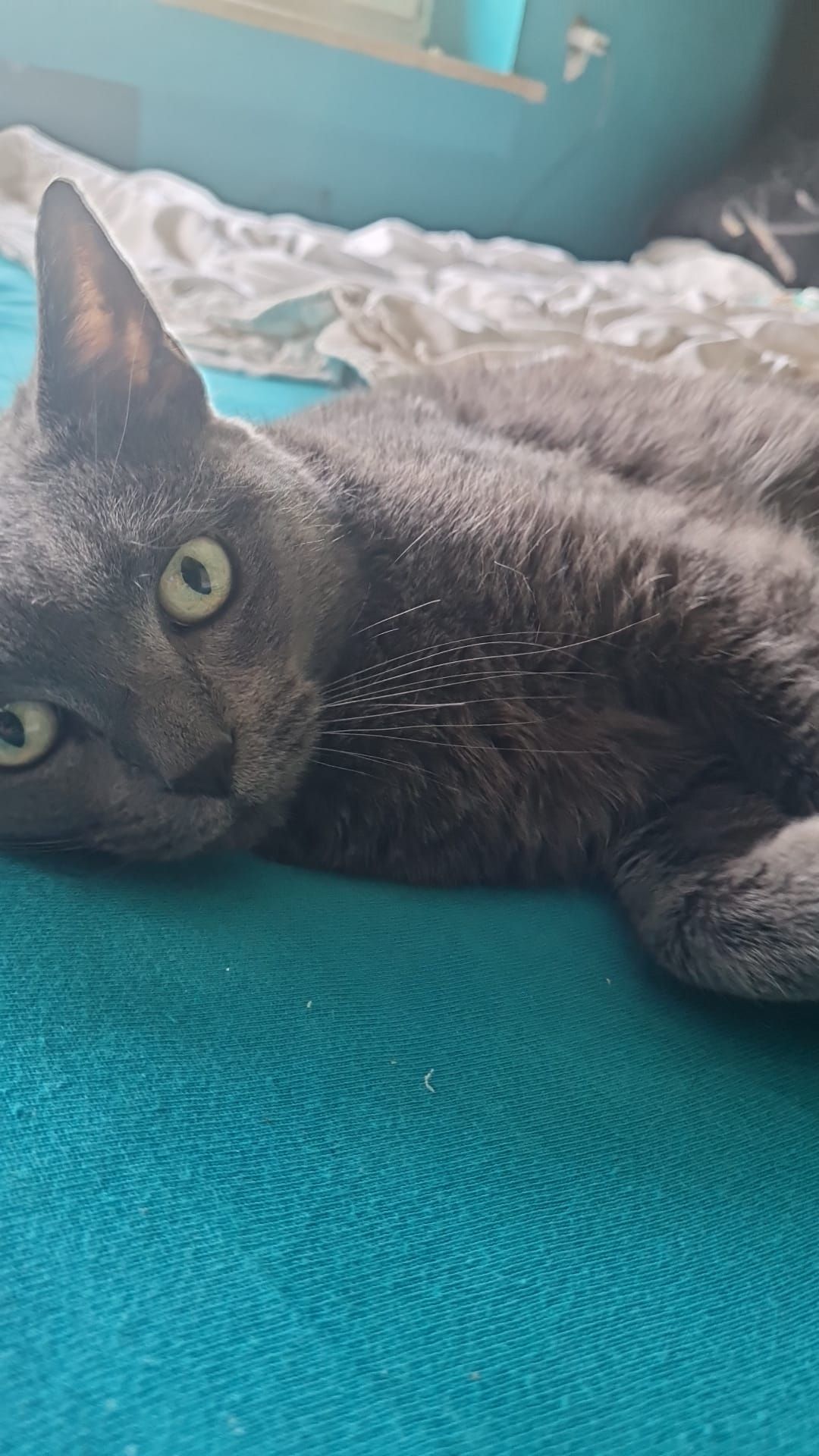 Lucky - Straubenhalde, Bad Saulgau