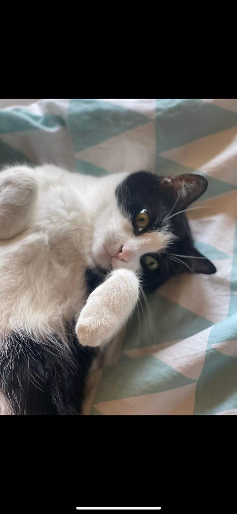 Aria - Hannoversche Straße, Hameln