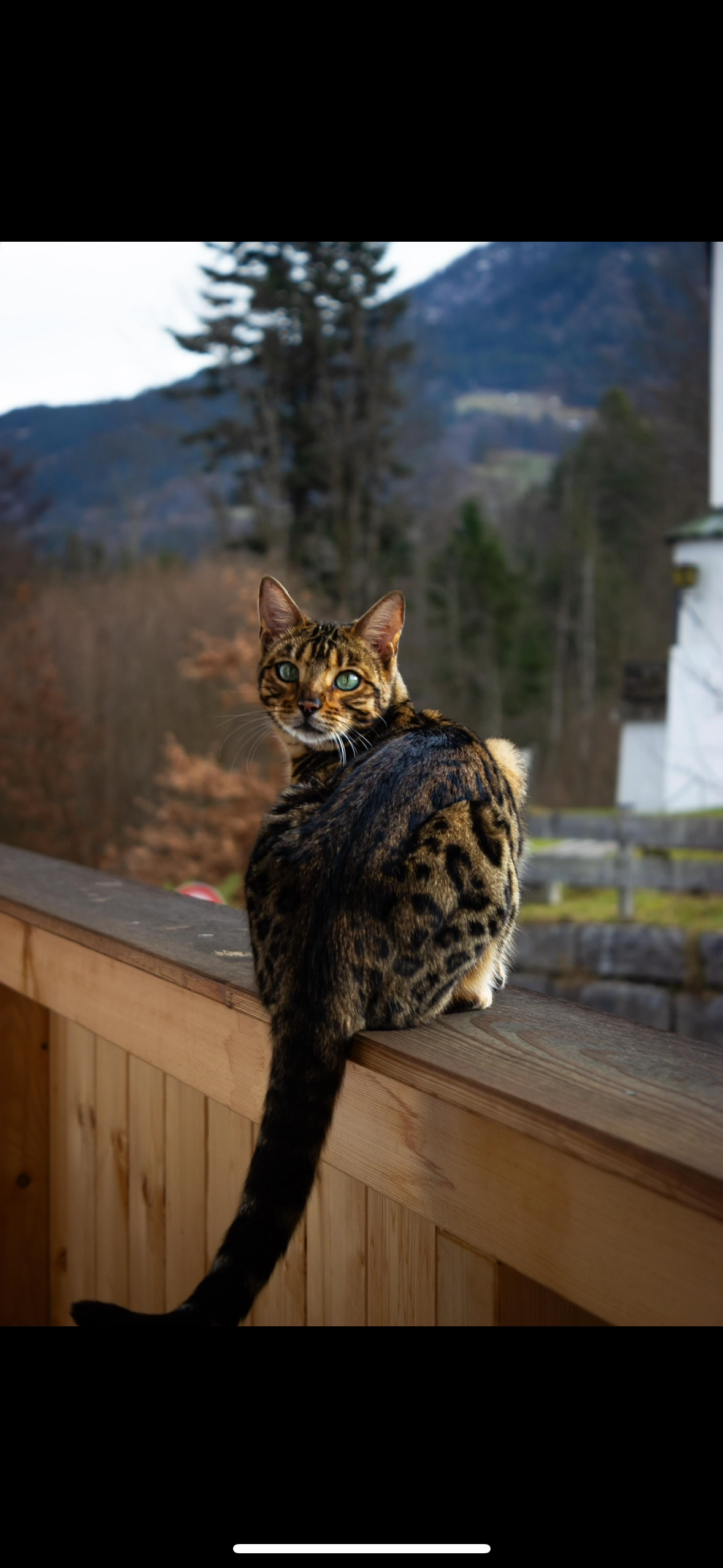 Bonnie - Gebirgsjägerstraße, Bischofswiesen