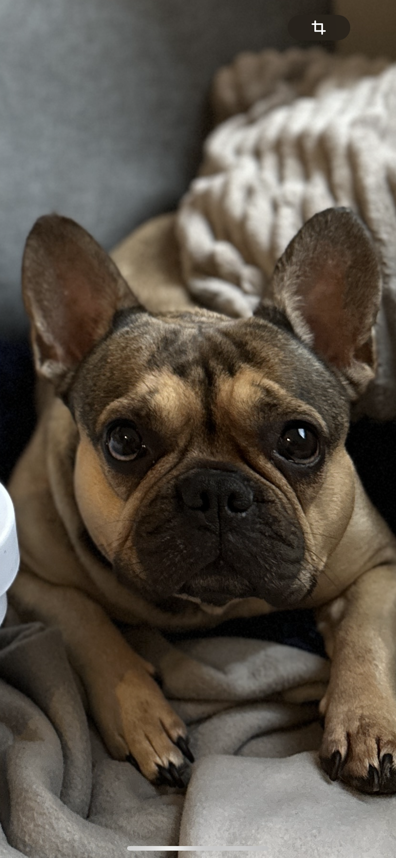 Bubu - Behmstraße 48, Berlin