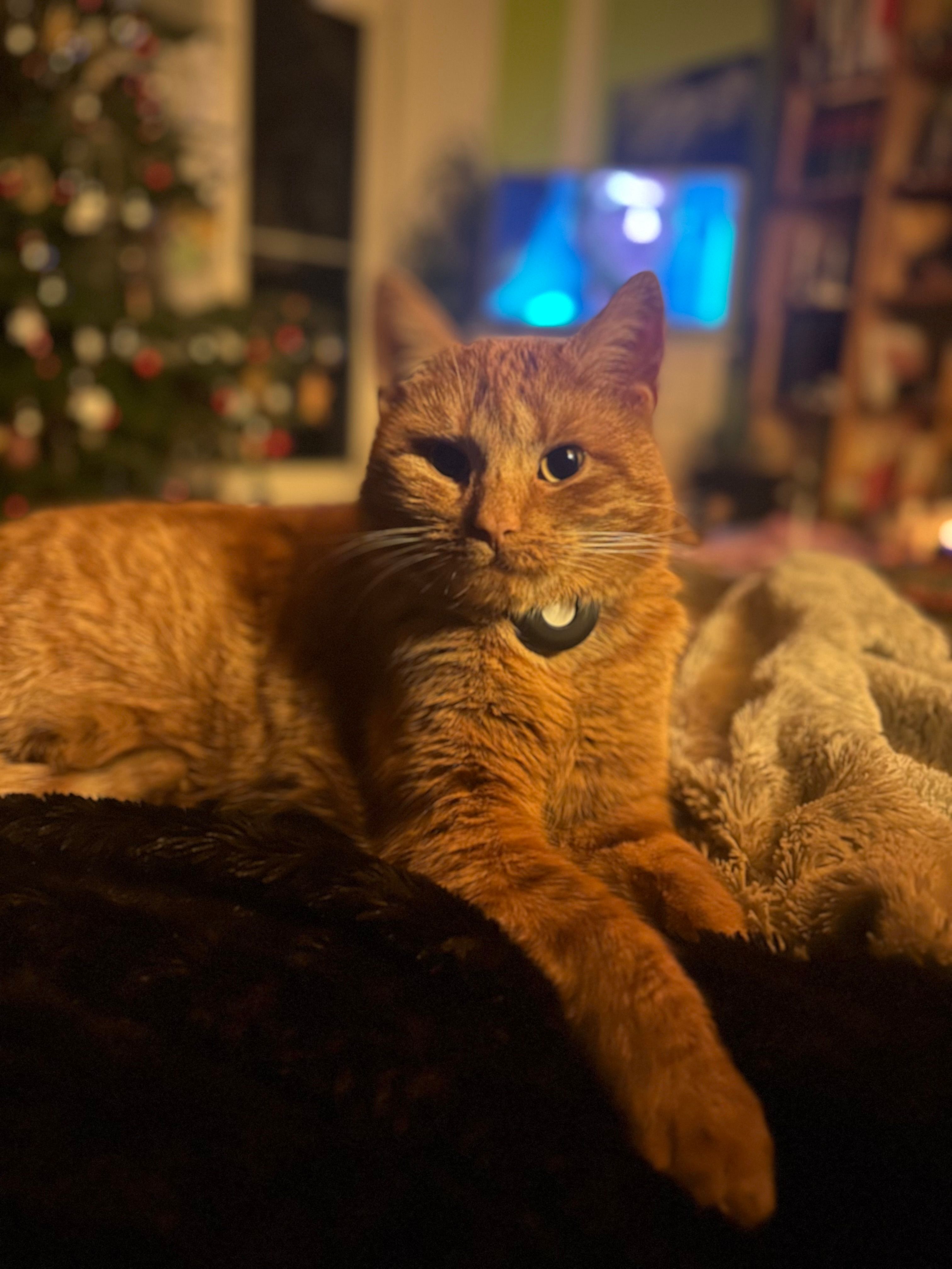 Leo - Kirchstraße, Merseburg