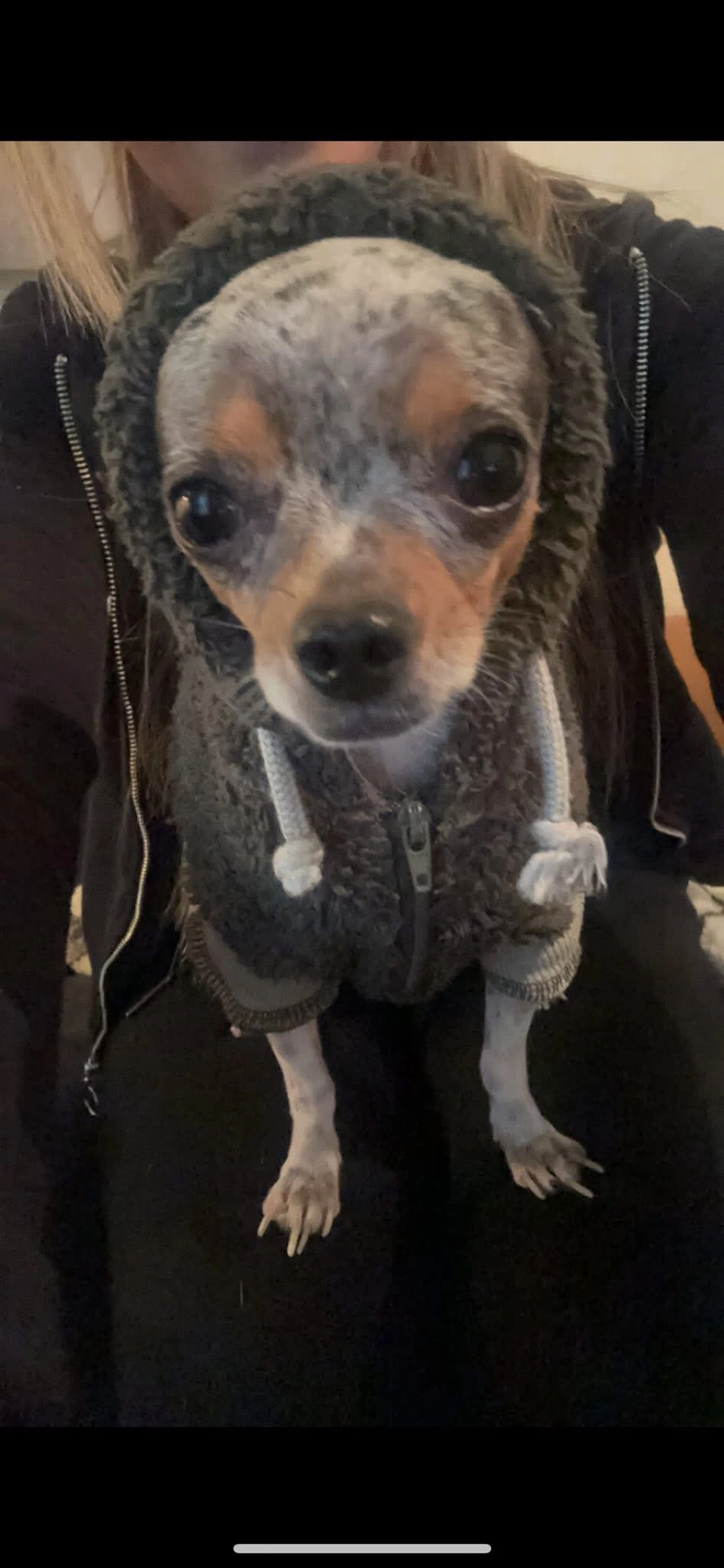 Simba - 6181, Elsloo