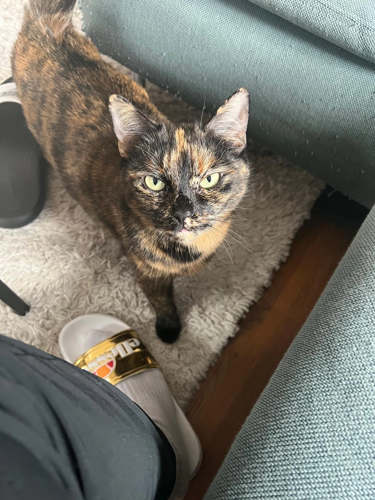 Resi - Paichbergstraße, Sierning