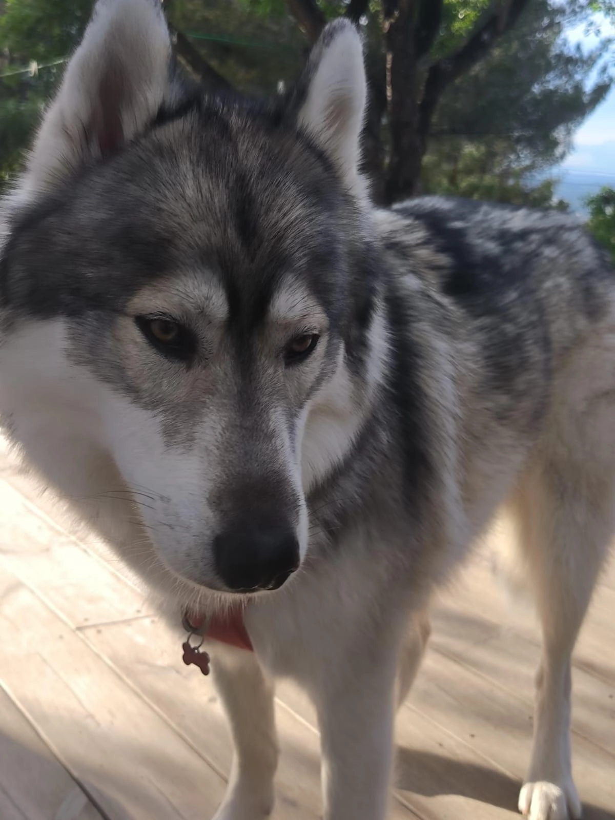 Unarok  - 1010 Chemin du Viaduc, Aix-en-Provence