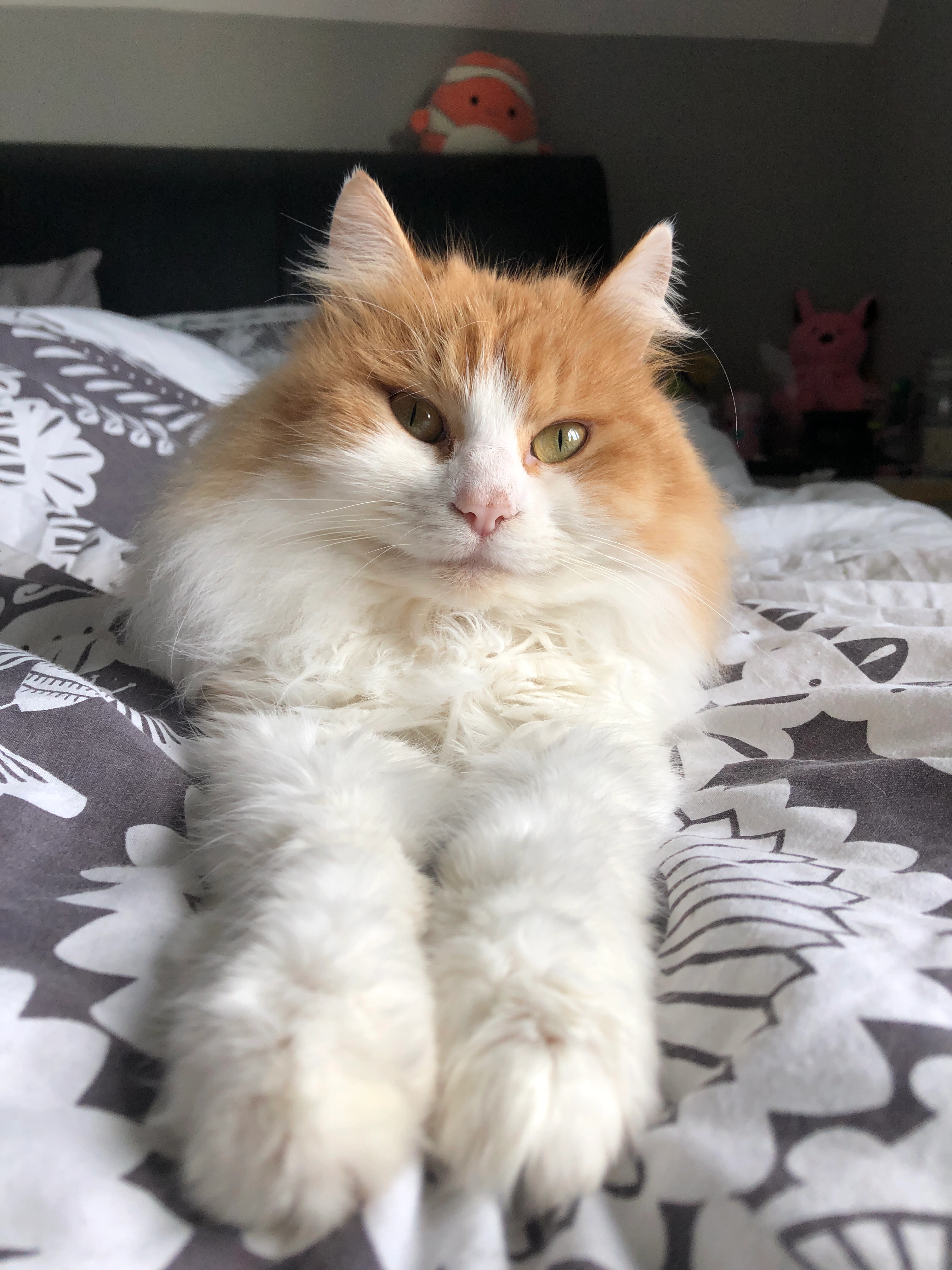 Arwen - Lime Tree Avenue, Wymondham