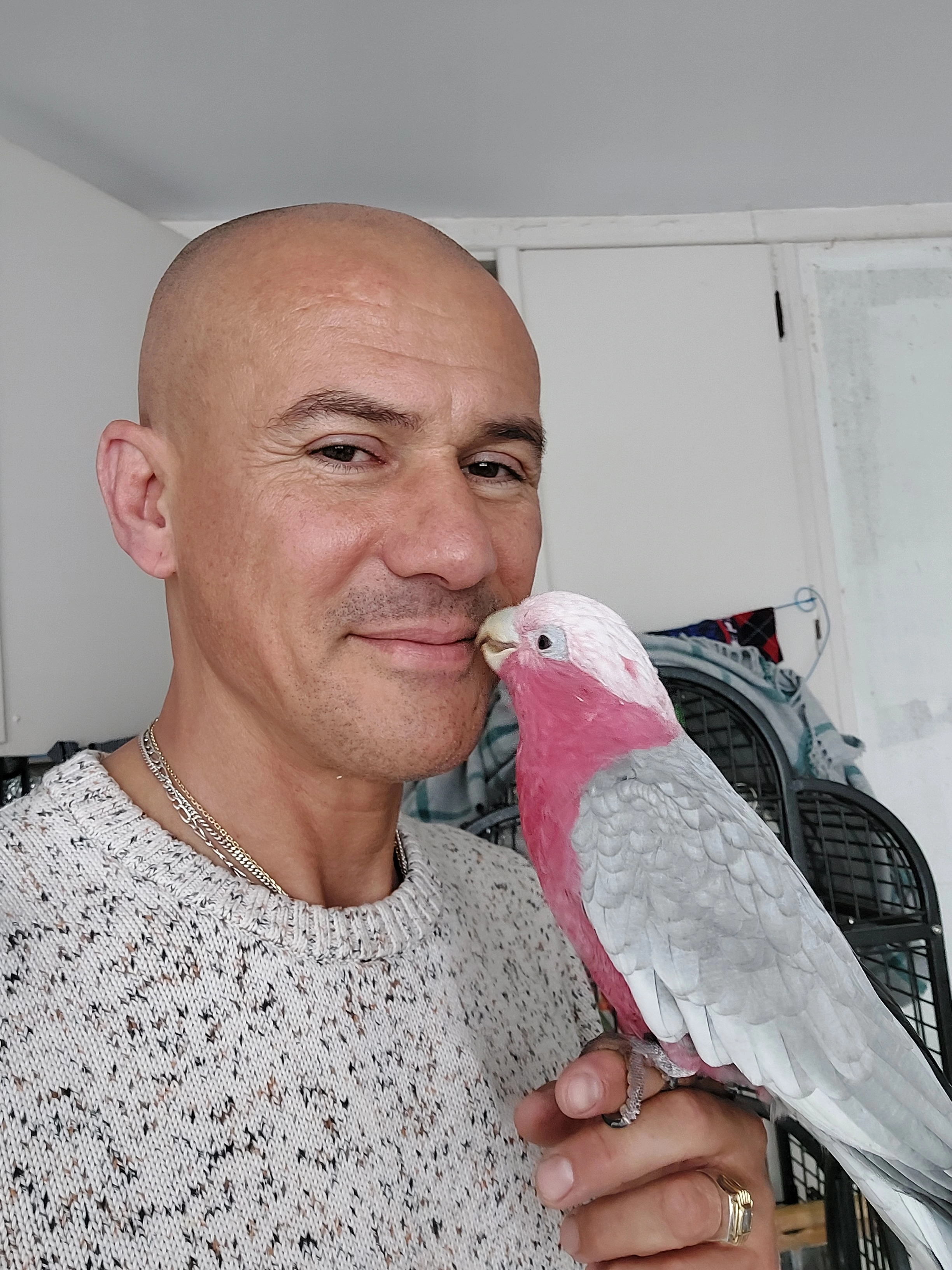 Sophie - Rue de la Paix, Cheny