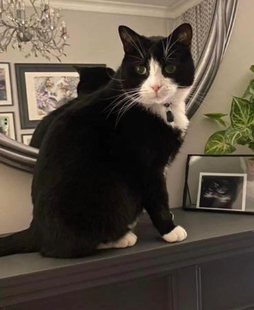 Billy - Dorchester Road, Weymouth