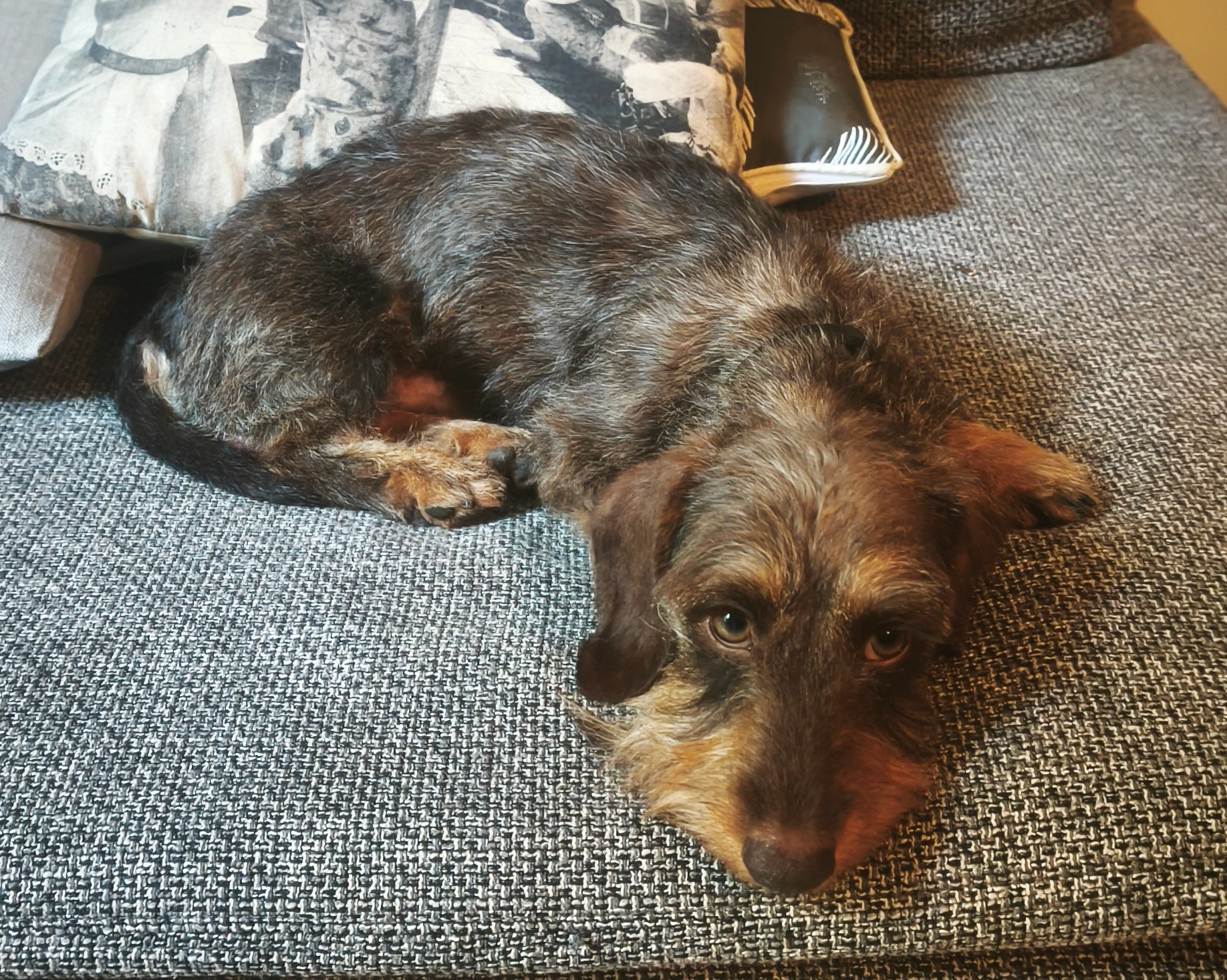 Duke - Avenue Villemus, Aix-en-Provence