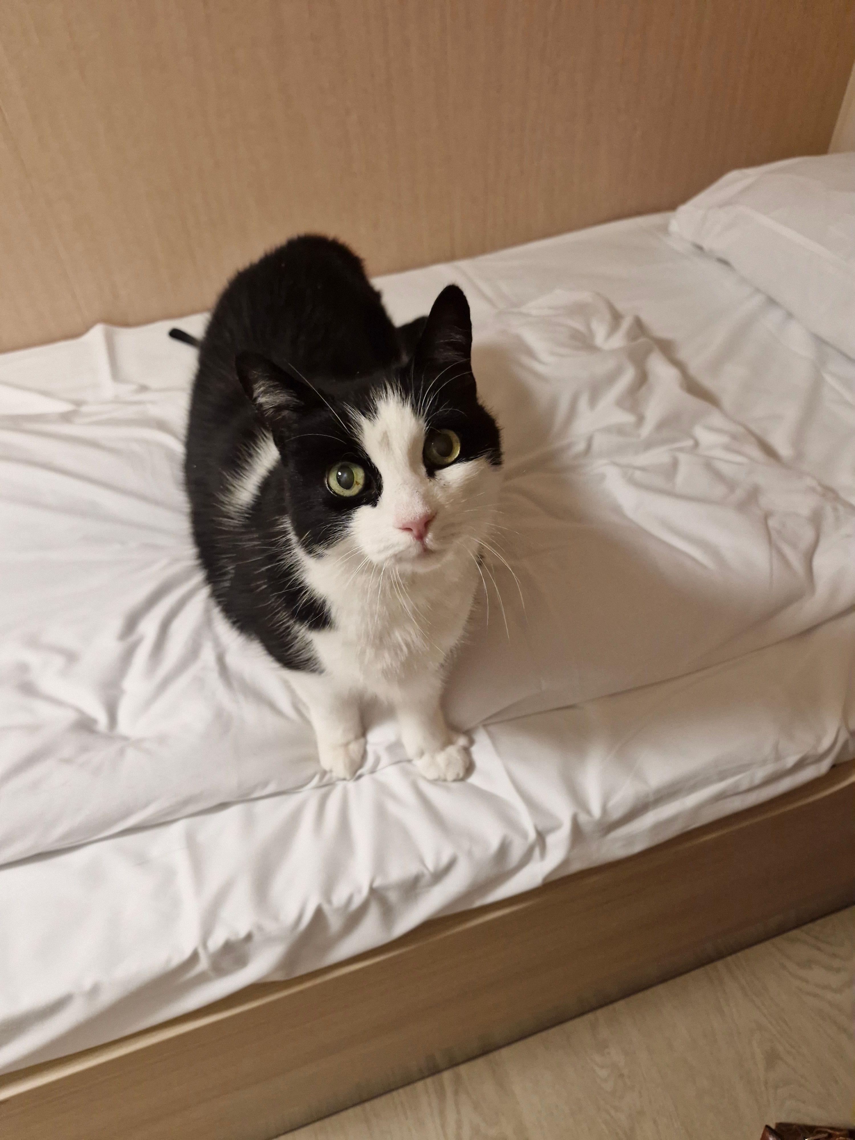 Pepsi  - Calado de la Margen, Cúllar