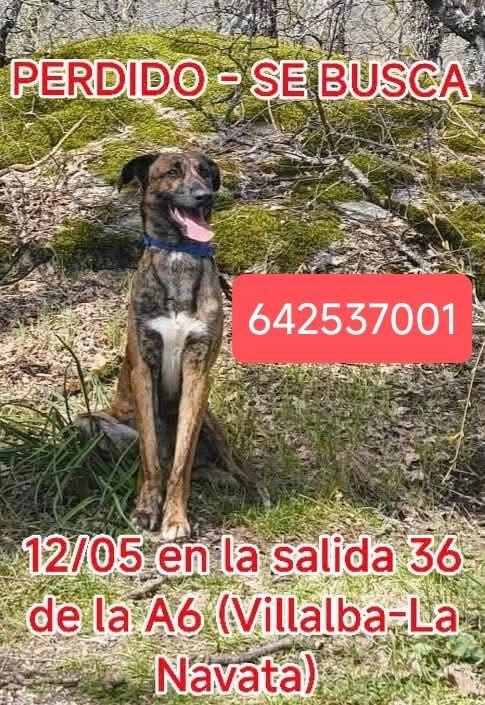 Duque - Calle La Venta, Collado Villalba