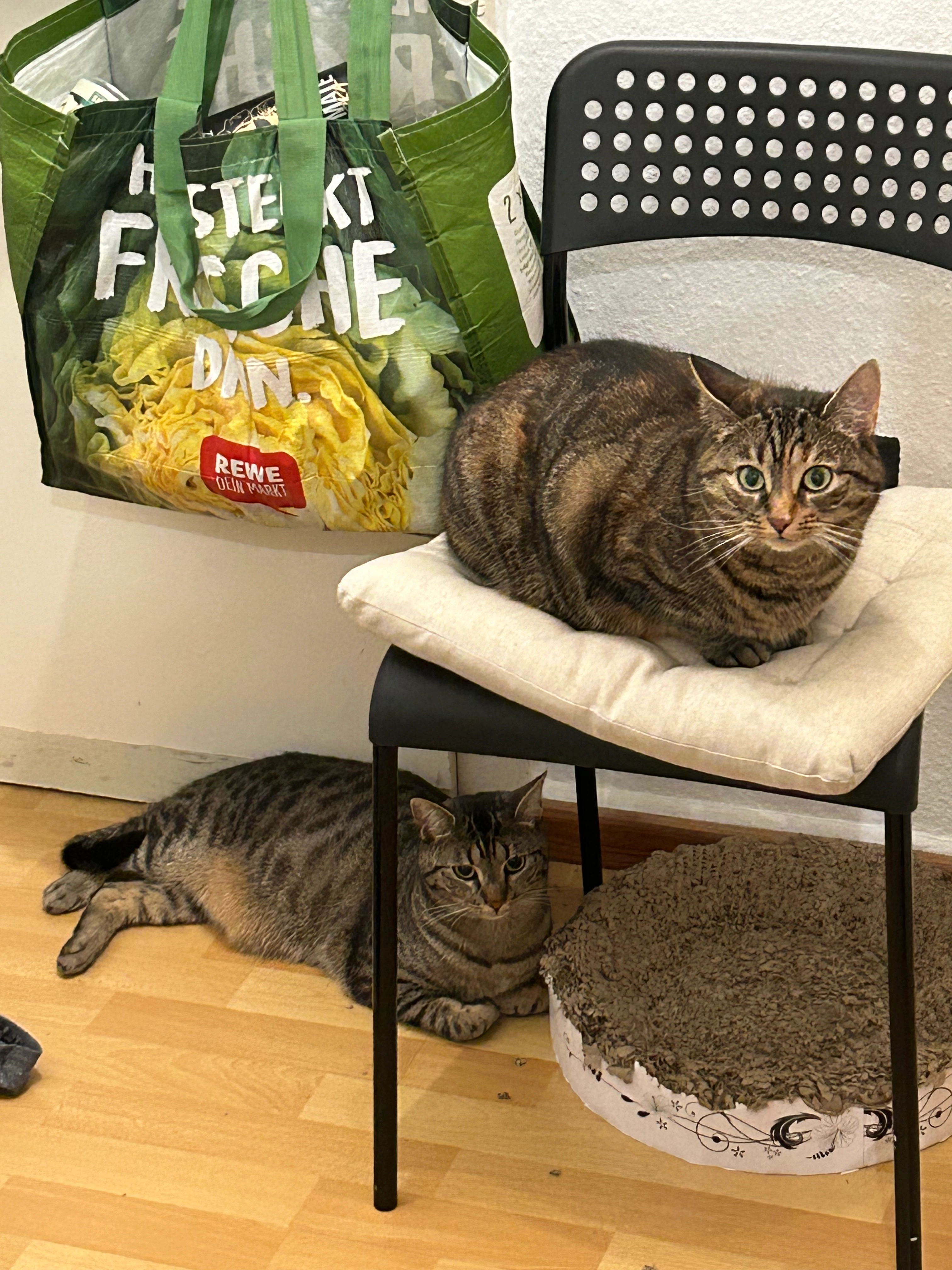 Youyou - Lochnerstraße, Aachen