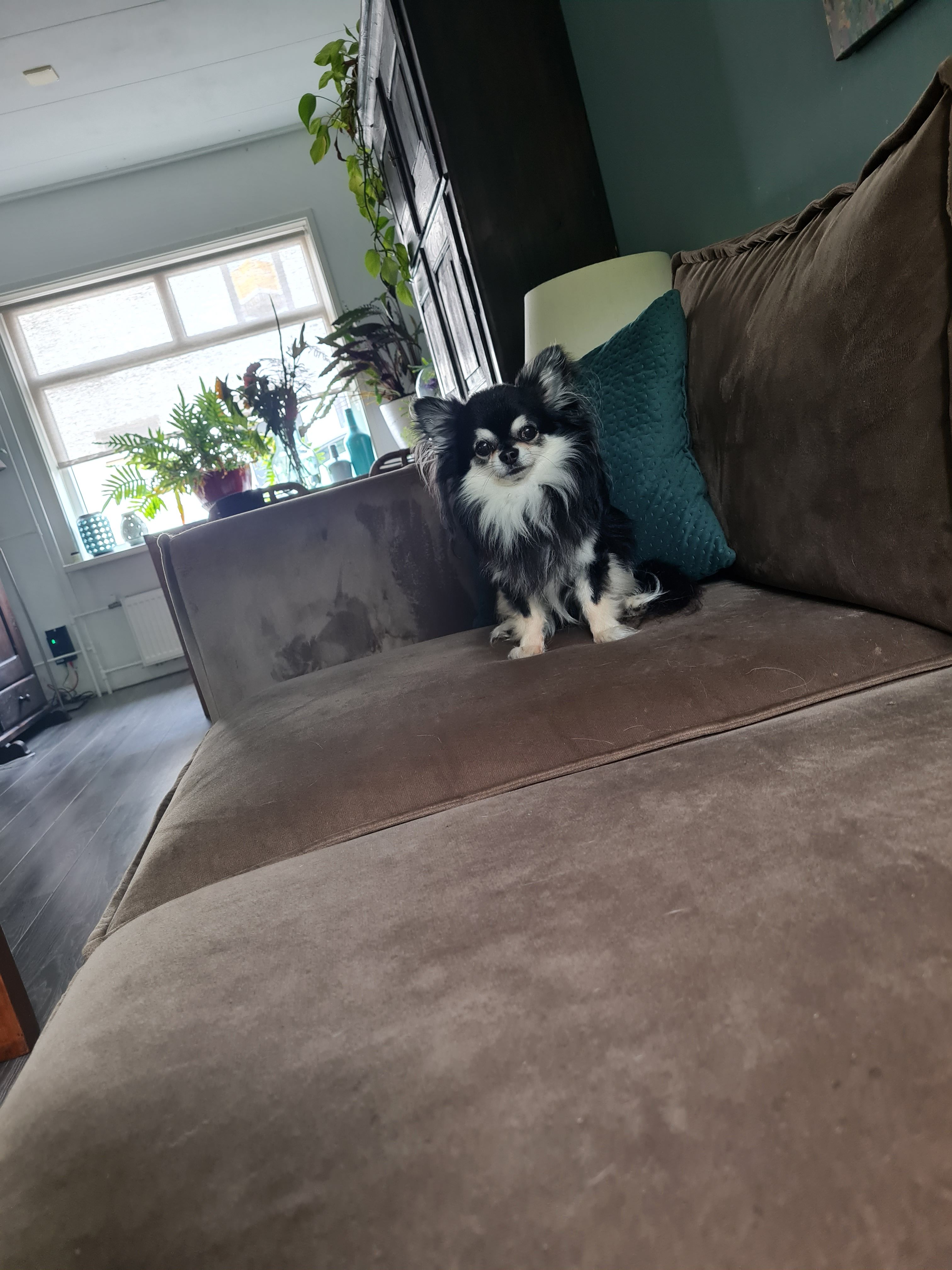 Dex - Vlietskade, Arkel