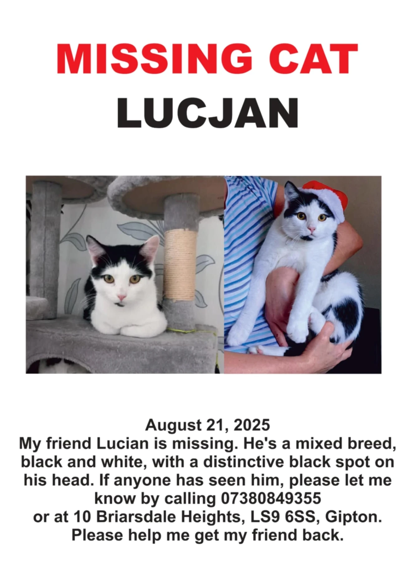 Lucian - Oak Tree Walk, Leeds