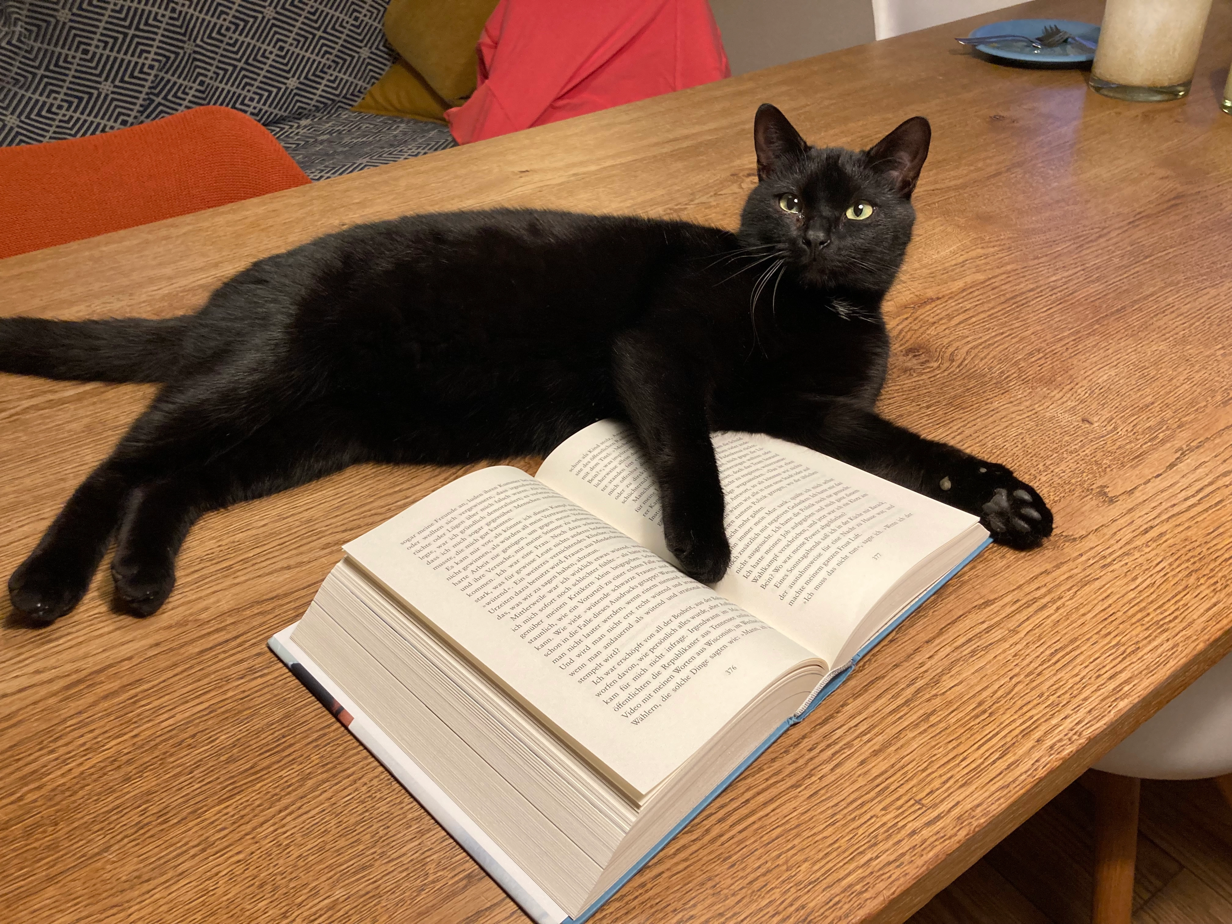 Mio - Birkenweg, Soyen