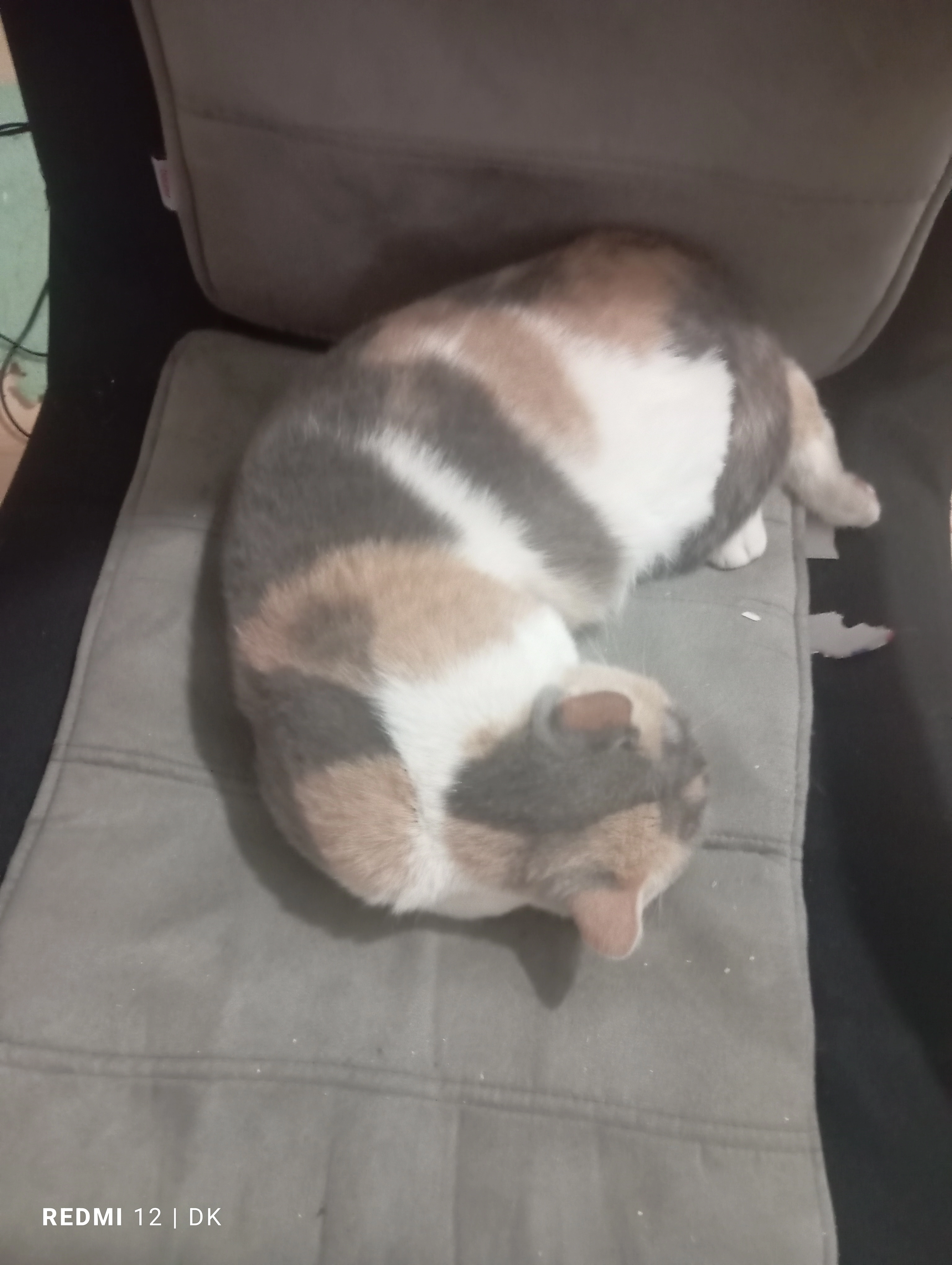 Tina - Bachstraße, Oberzissen