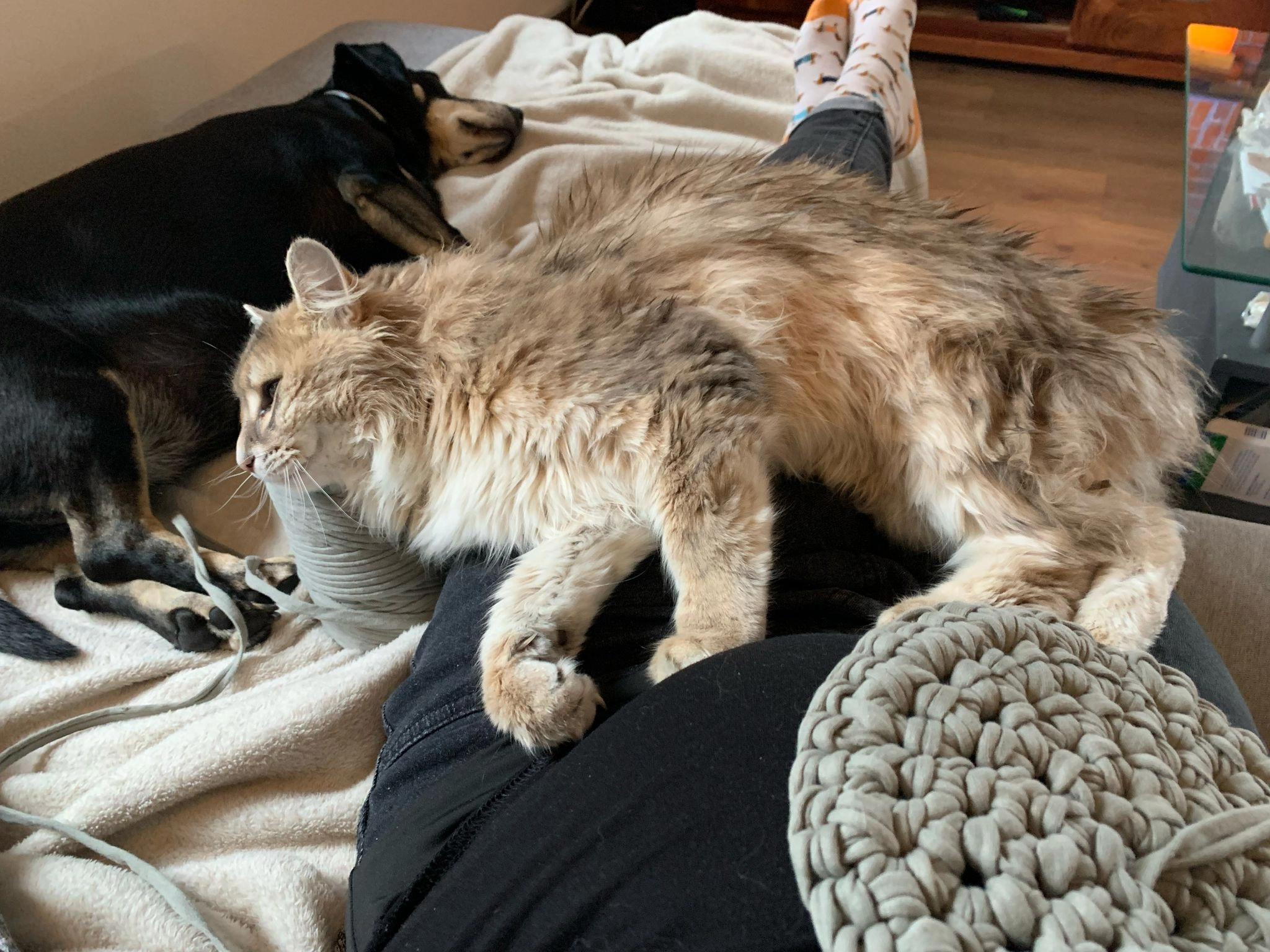 Pablo - Landstrasse, Klosters Dorf