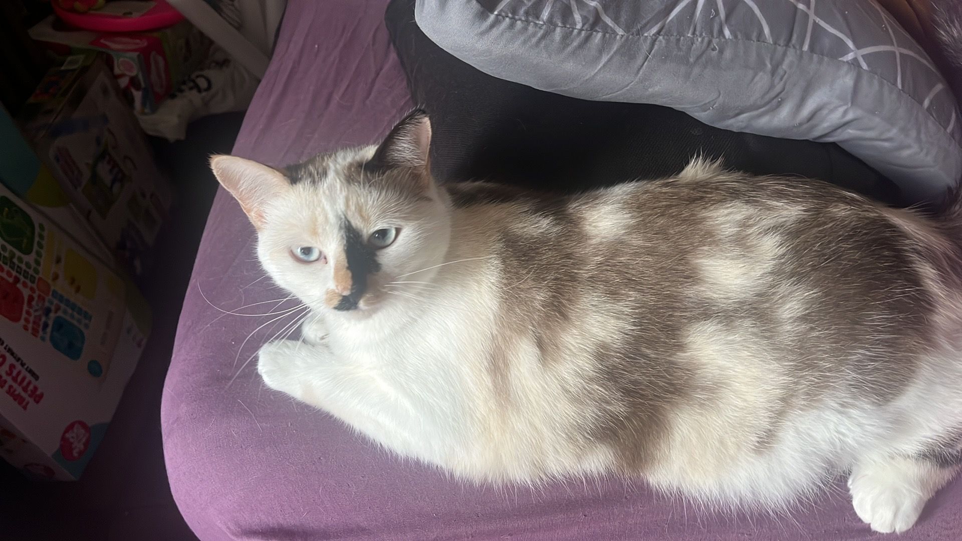 Ligati - Rue Henri Choquet, Varennes-Vauzelles