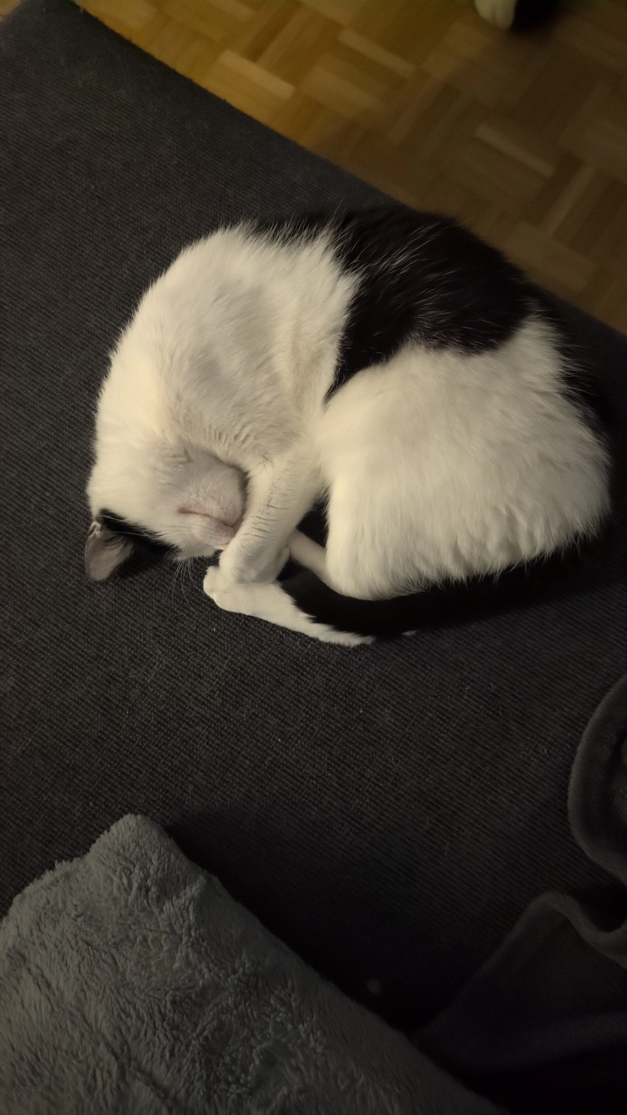 Mila - Lehnmattstrasse 15, Appenzell