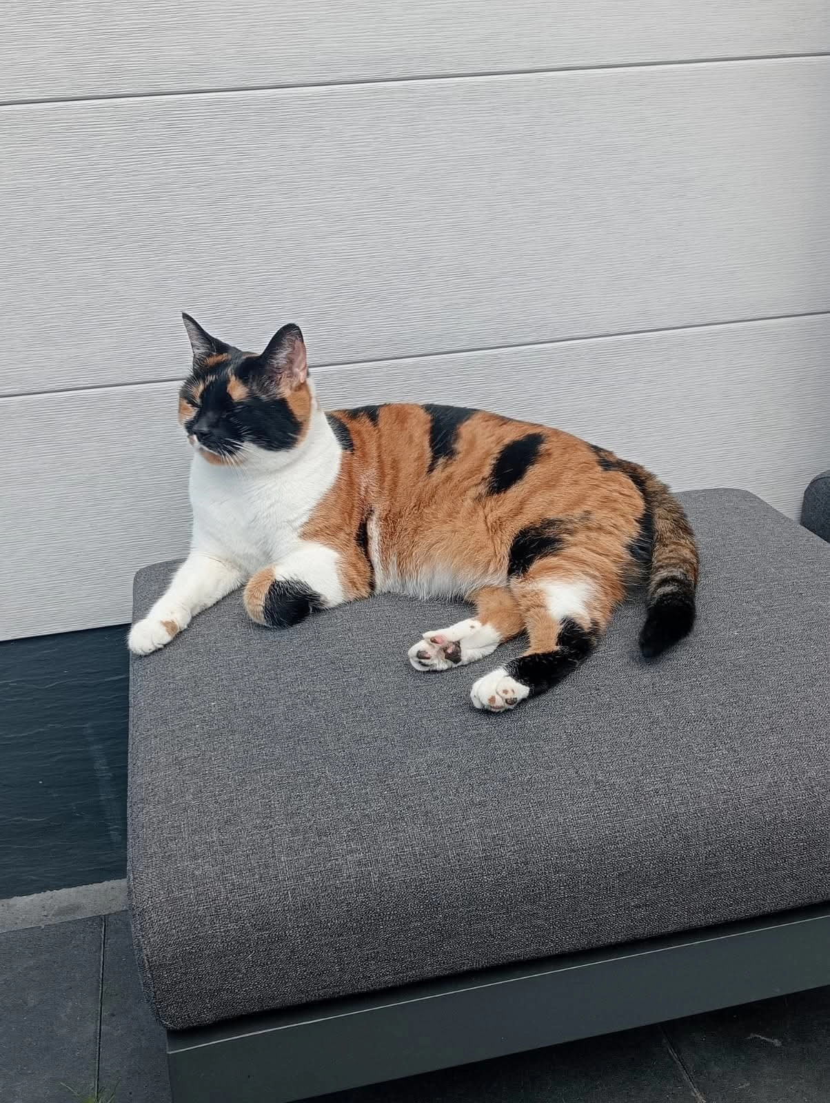 Lola - De Grevelingen, Nieuwe-Tonge