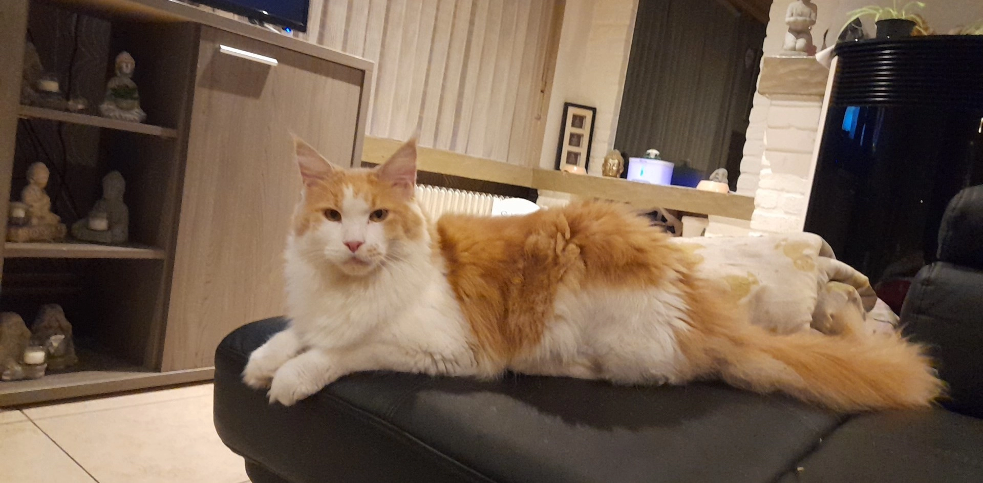 Elza  - Krombekeplein 17, Poperinge