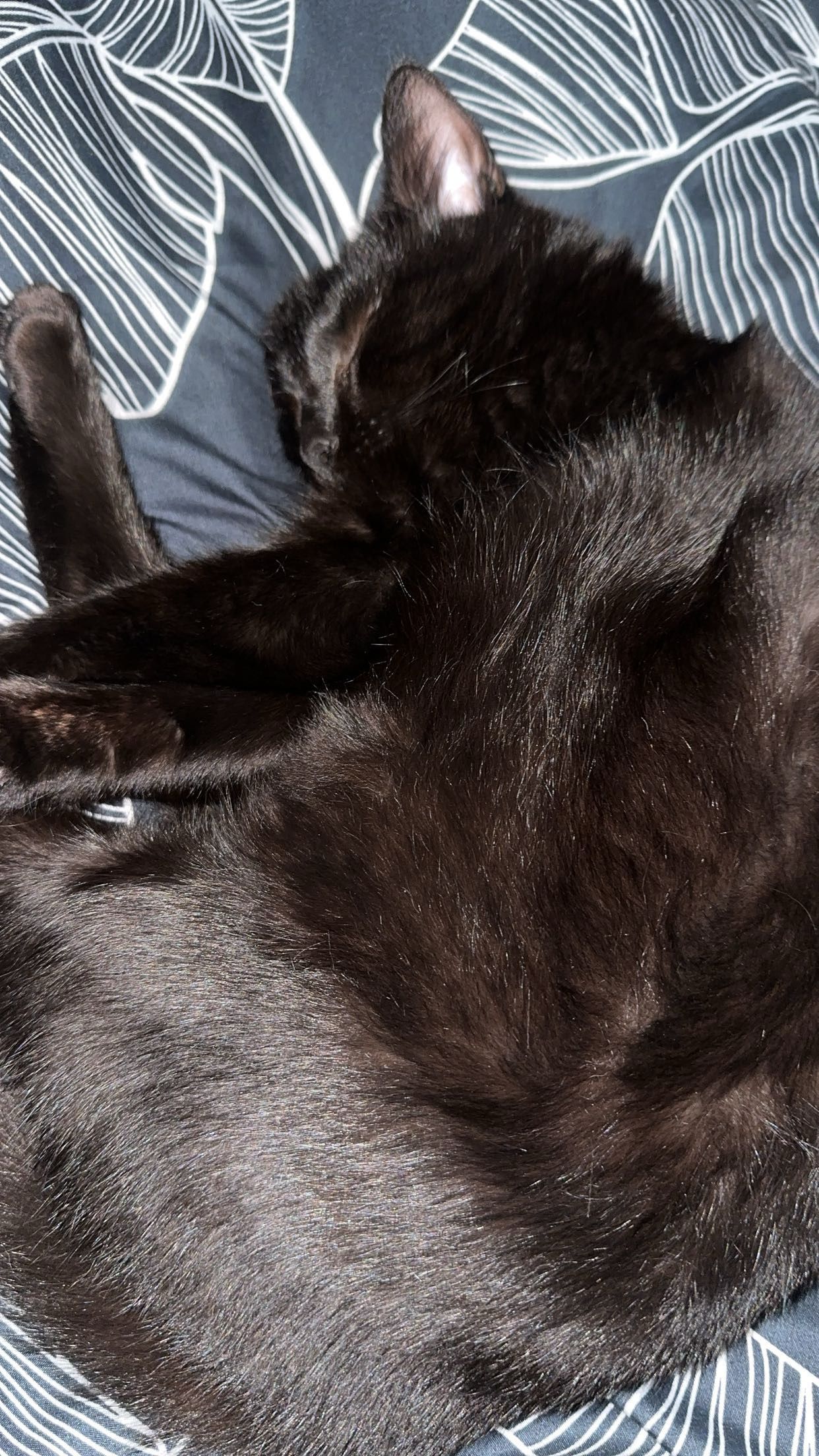 Nuna - Fredsgatan, Ludvika