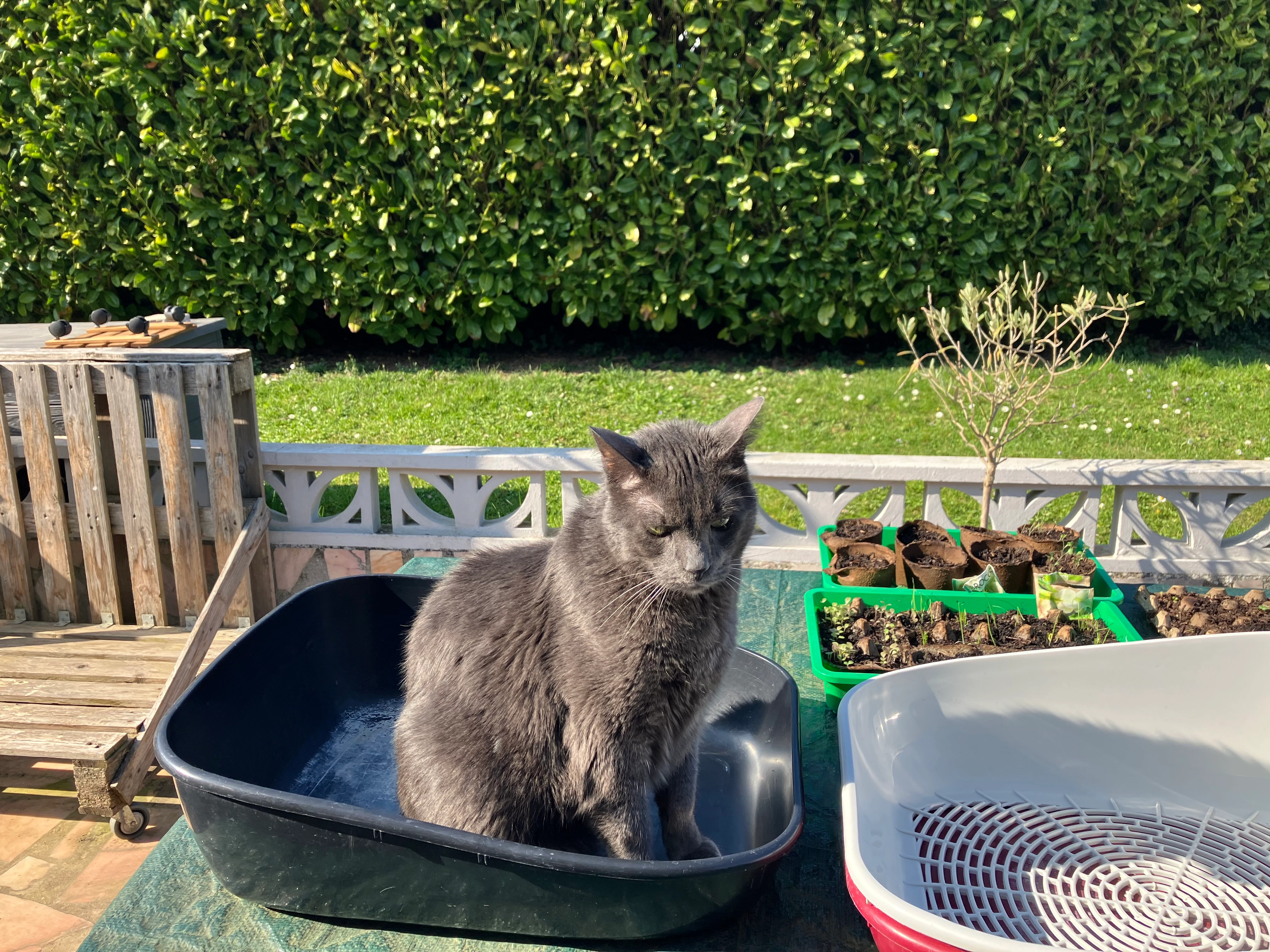 Néo - Rue De Sorel, Précy-sur-Oise