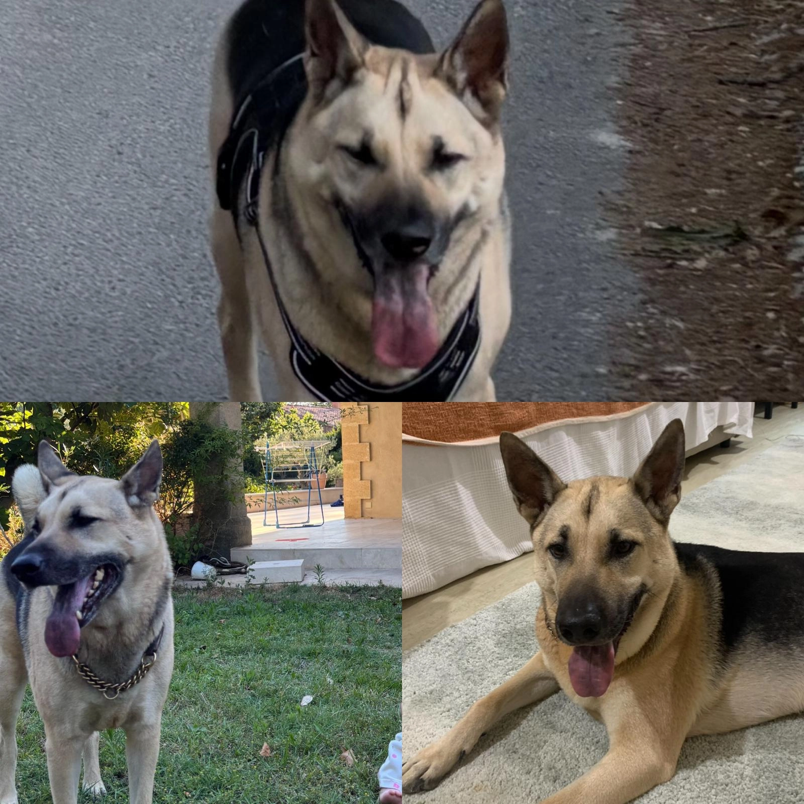 Shake  - Lotissement Le Prieuré, Pertuis