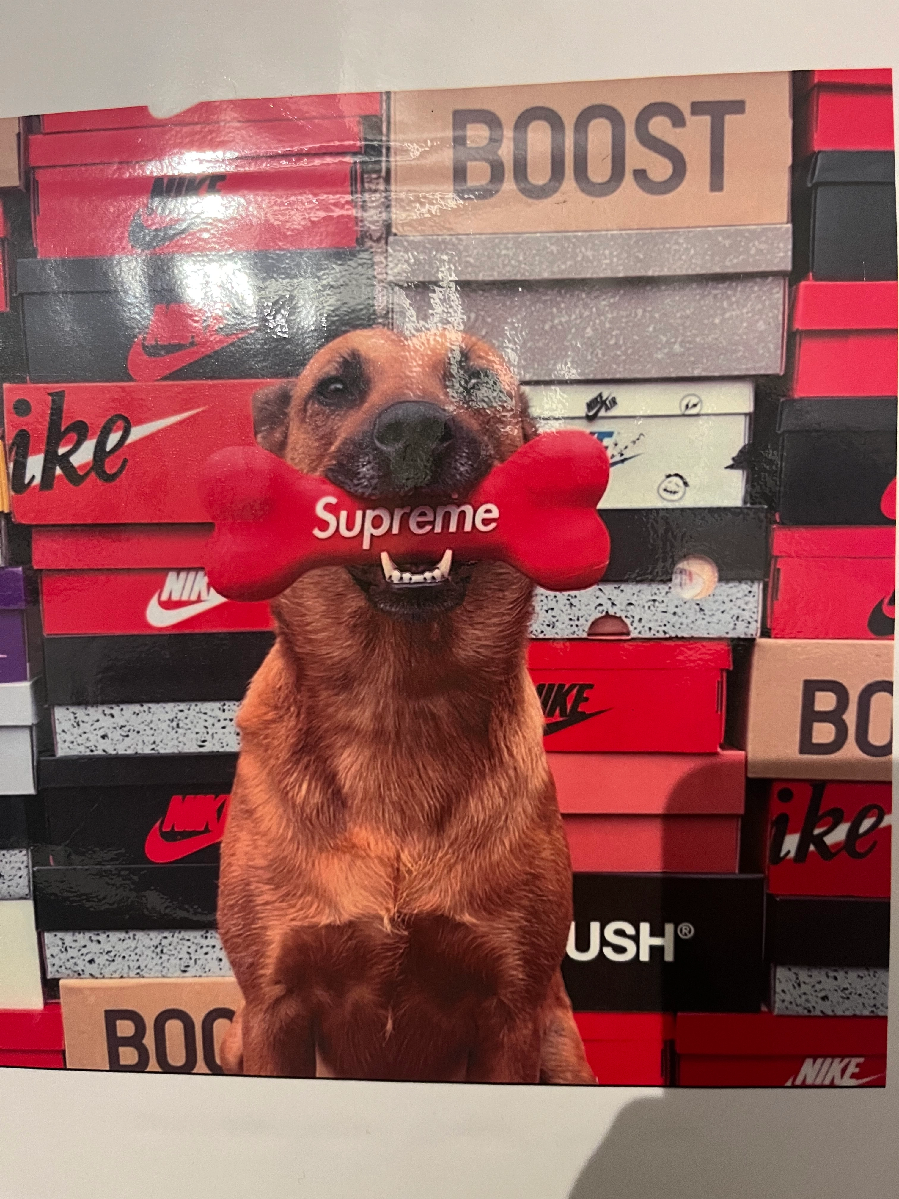 Chany - Allée de Dampmart, Thorigny-sur-Marne