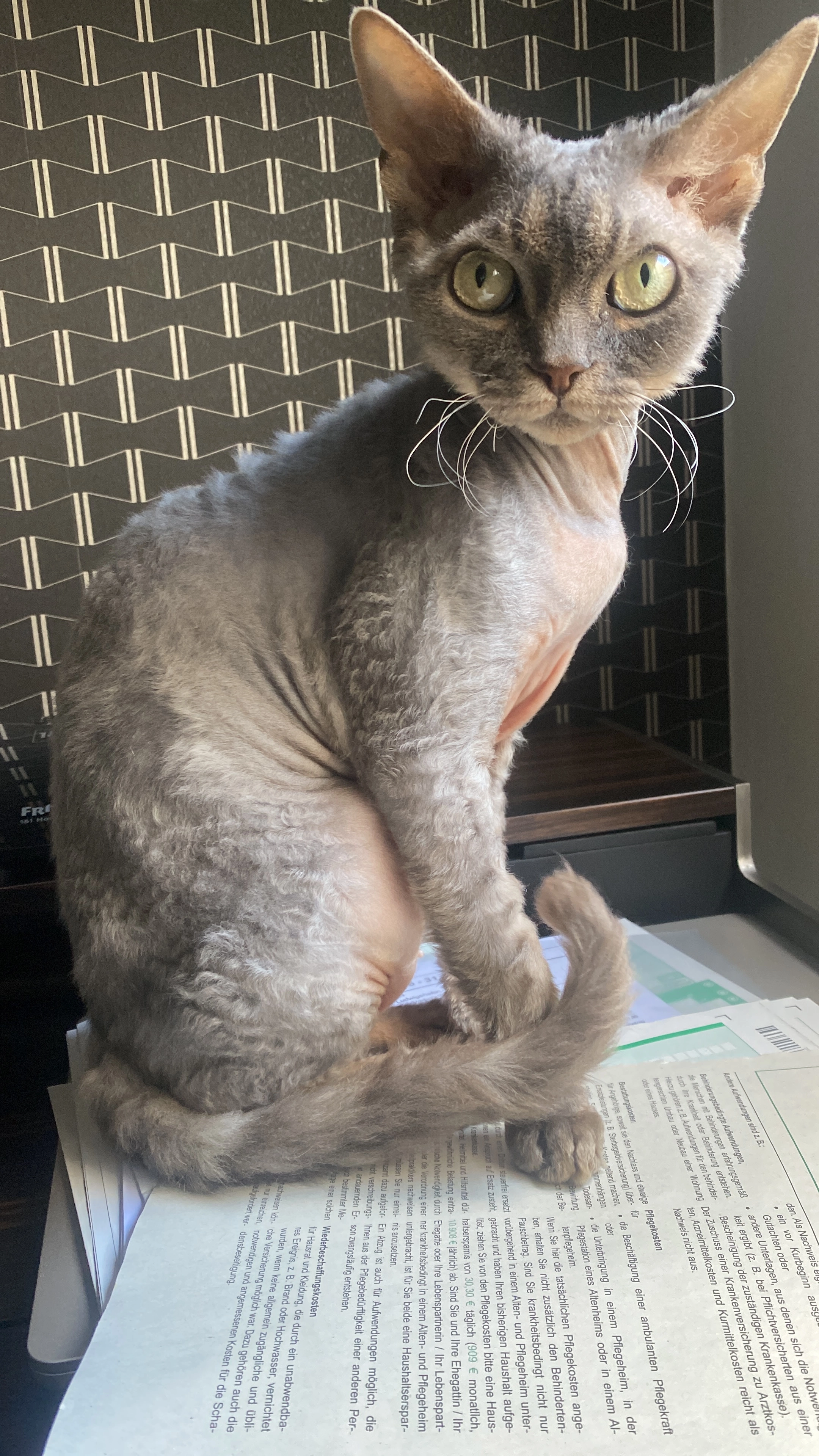 Ramses - Dreihornmühlgasse, Worms