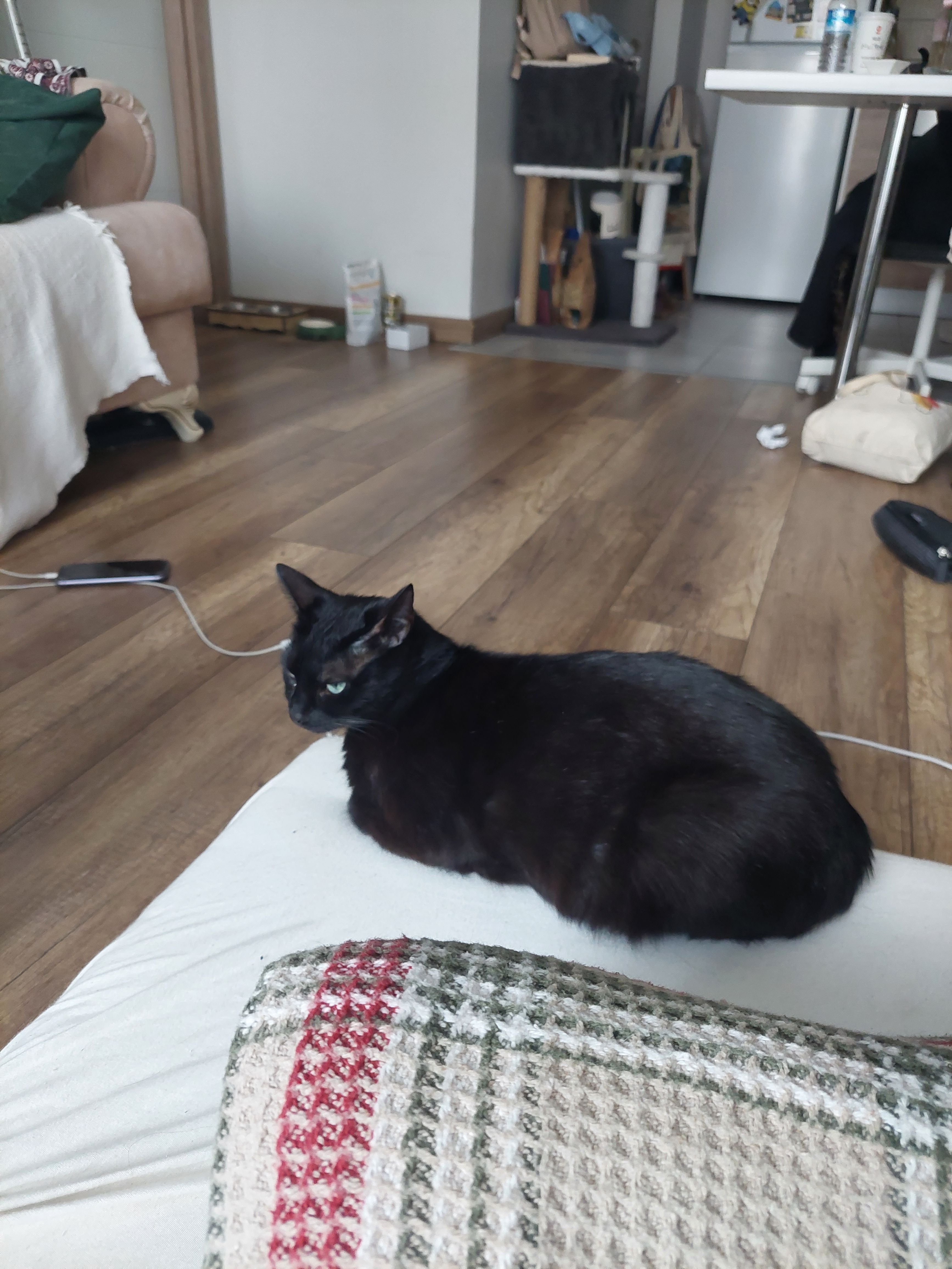 Salem - İpekyolu Caddesi, Istanbul