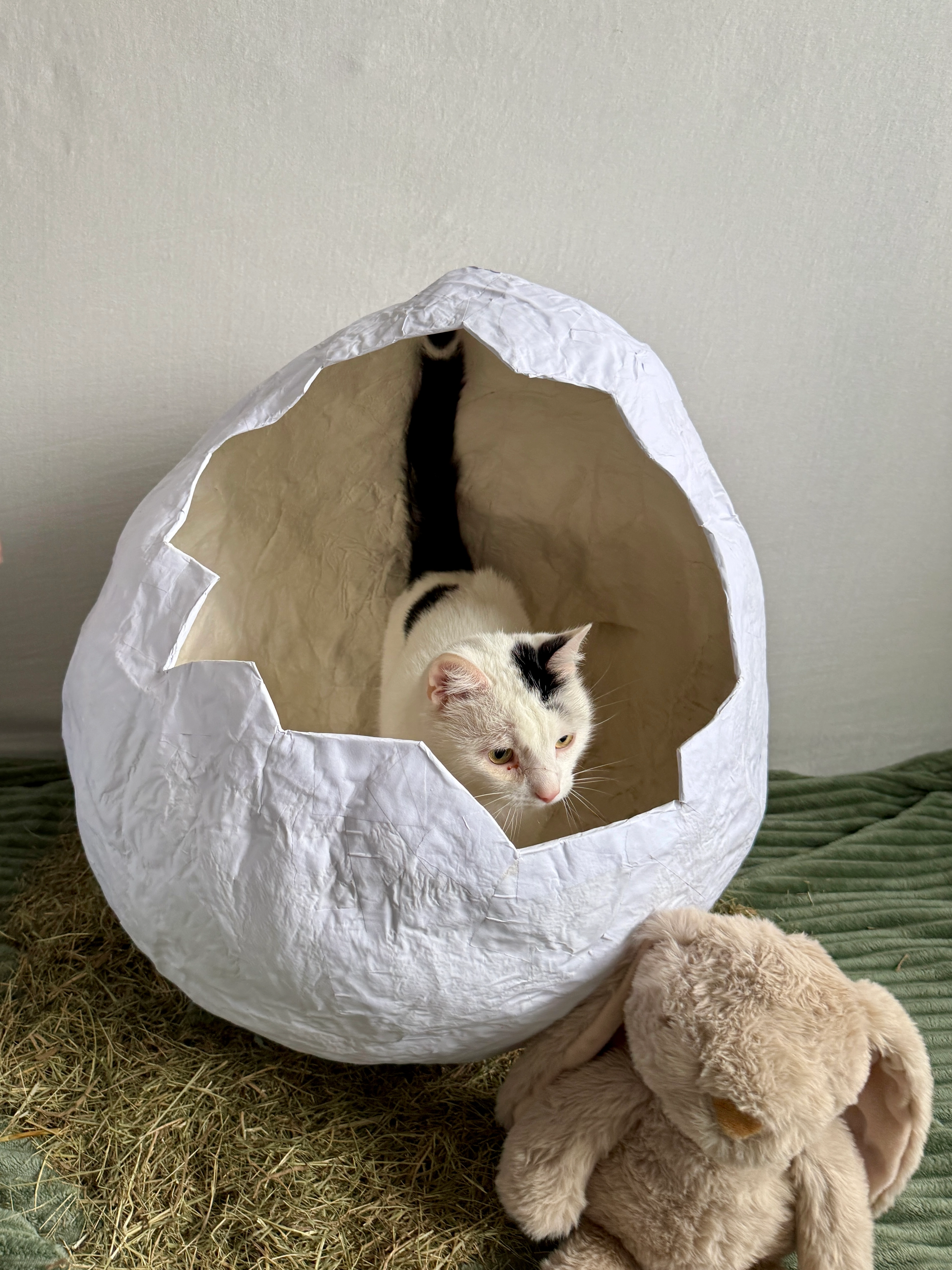 Al Capone - Am Esch, Nortrup